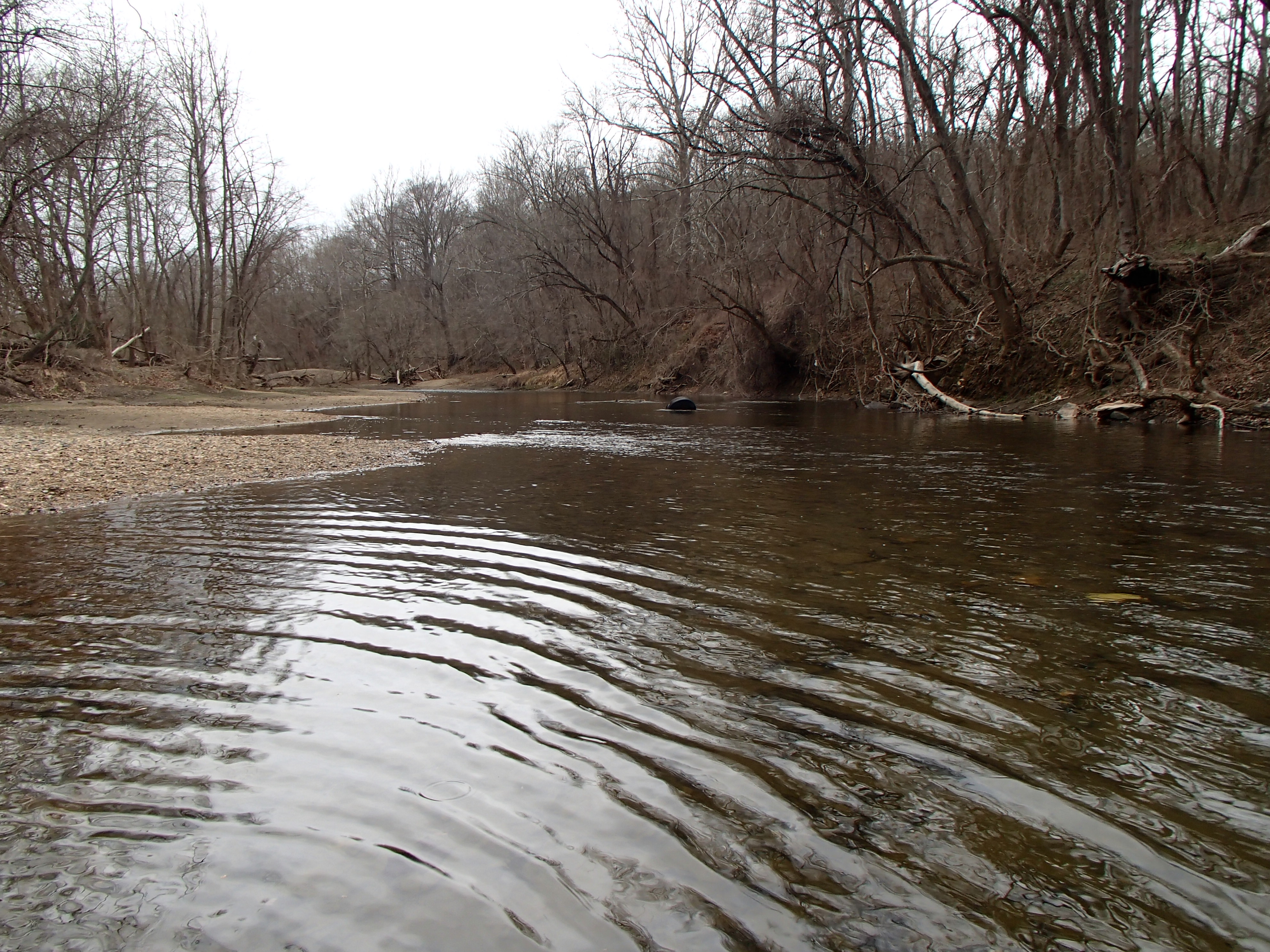 Field photo showing stream conditions at site PATL-B04-X-2017-MidpointLookingUpstream