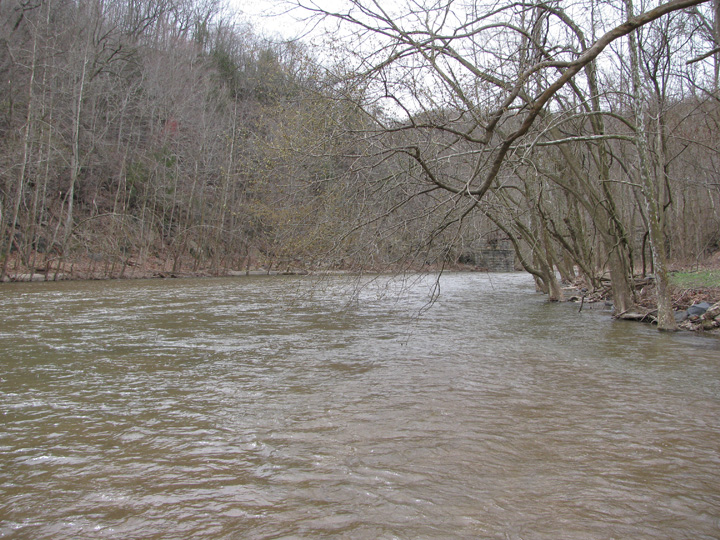 Field photo showing stream conditions at site PATL-B05-X-2011-2