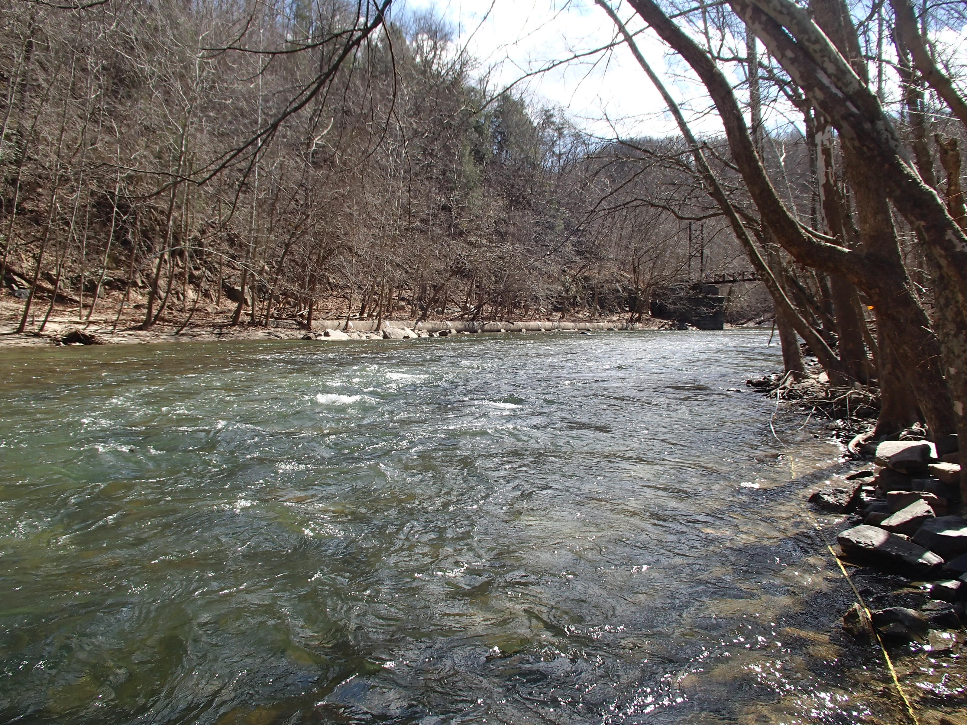 Field photo showing stream conditions at site PATL-B05-X-2015_Midpoint-looking-downstream