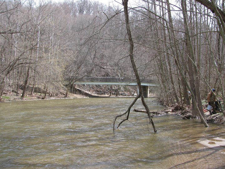 Field photo showing stream conditions at site PATL-B06-X-2011-2