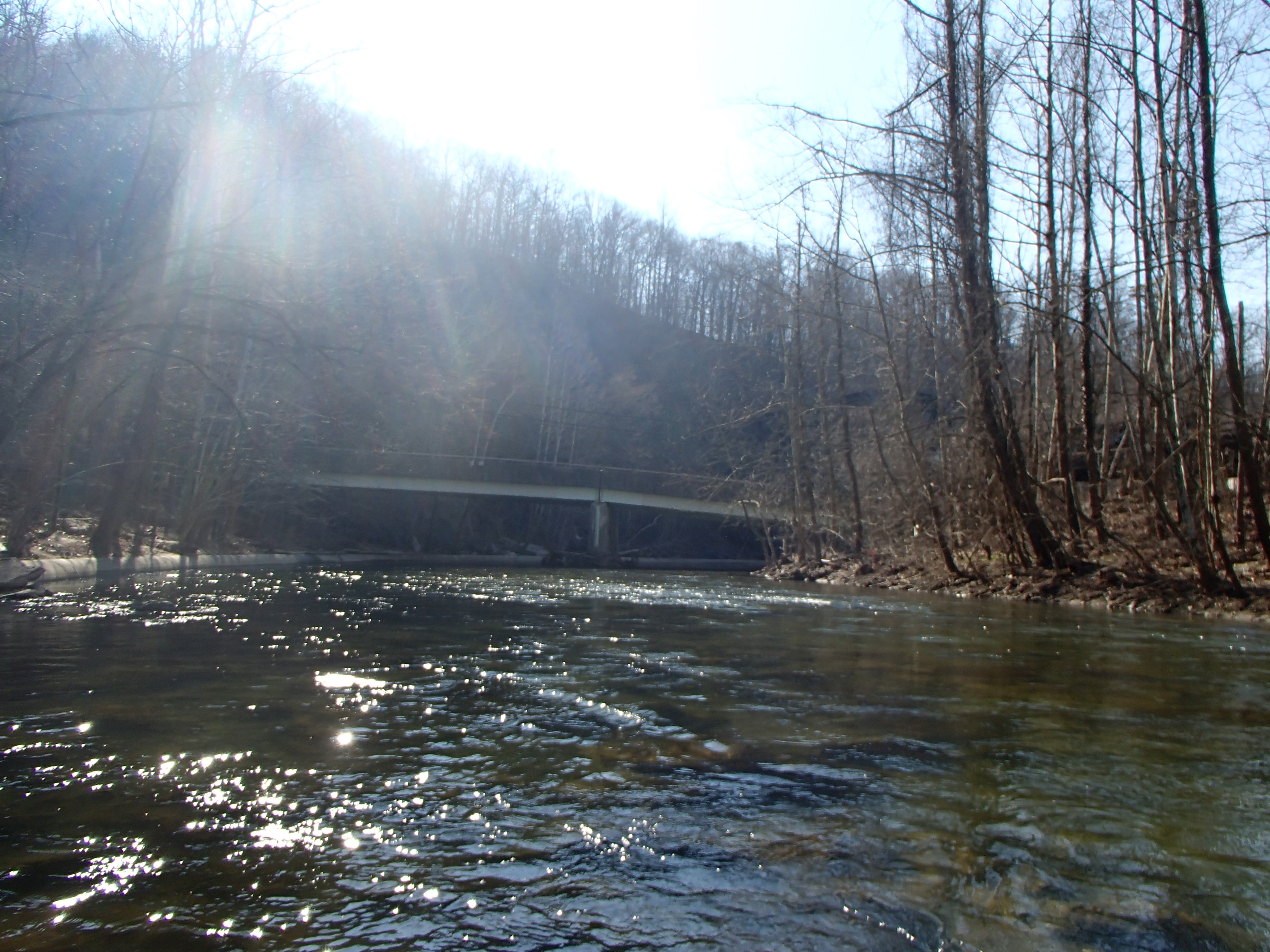 Field photo showing stream conditions at site PATL-B06-X-2015_at-P-looking-downstream