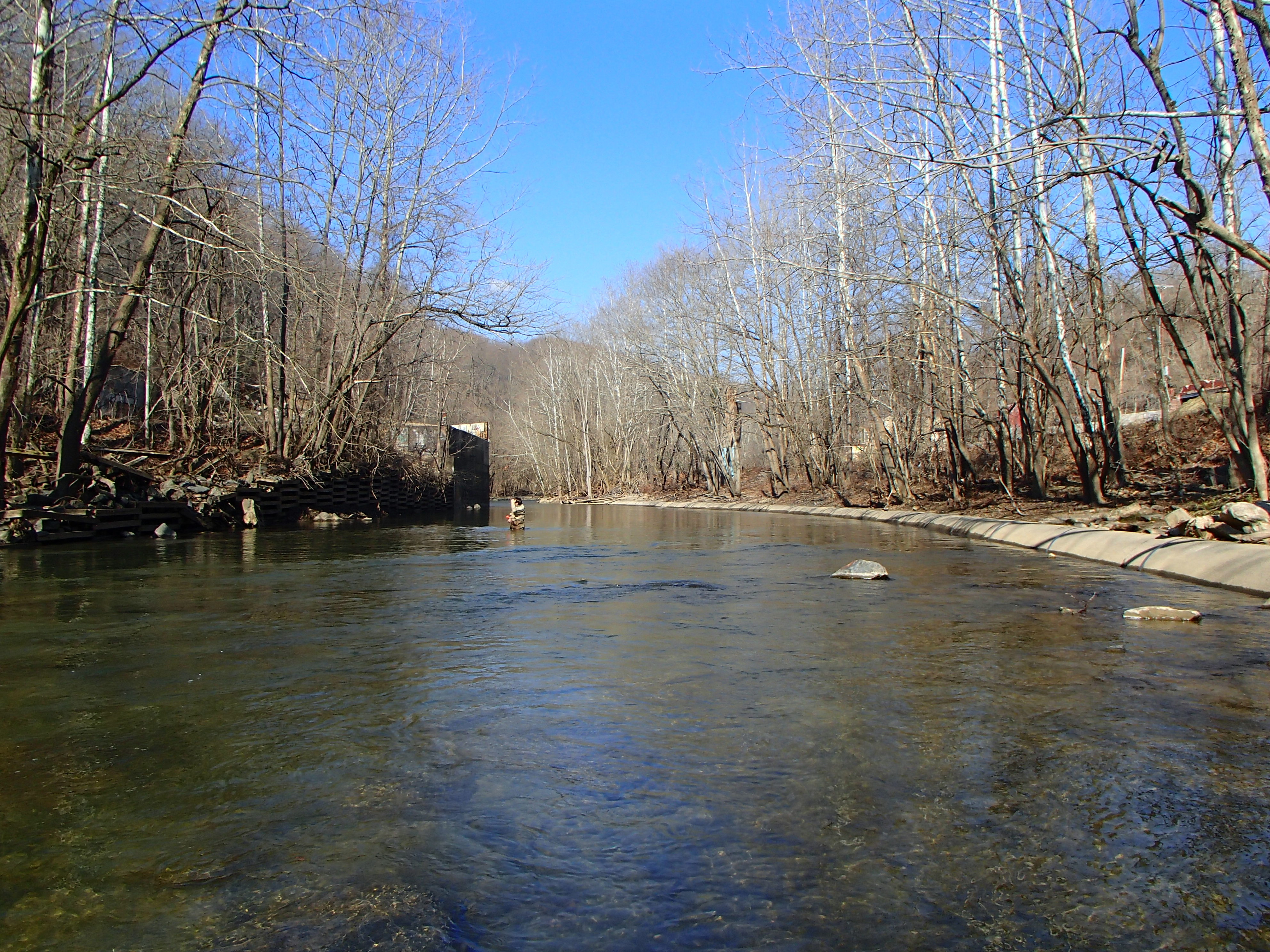 Field photo showing stream conditions at site PATL-B06-X-2015_at-P-looking-upstream