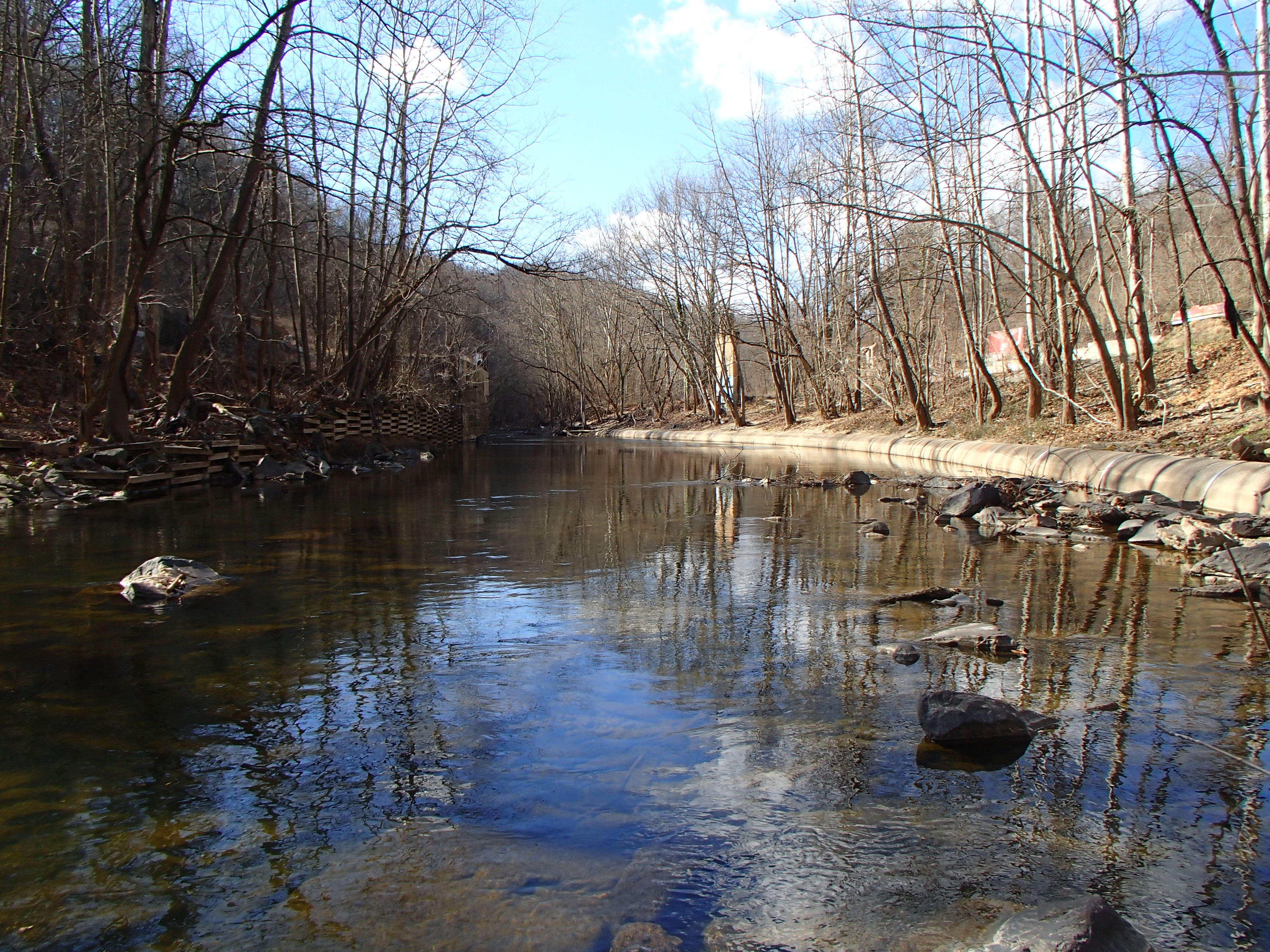 Field photo showing stream conditions at site PATL-B06-X-2017-MidpointLookingUpstream
