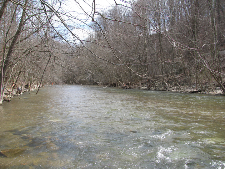 Field photo showing stream conditions at site PATL-B07-X-2011-2