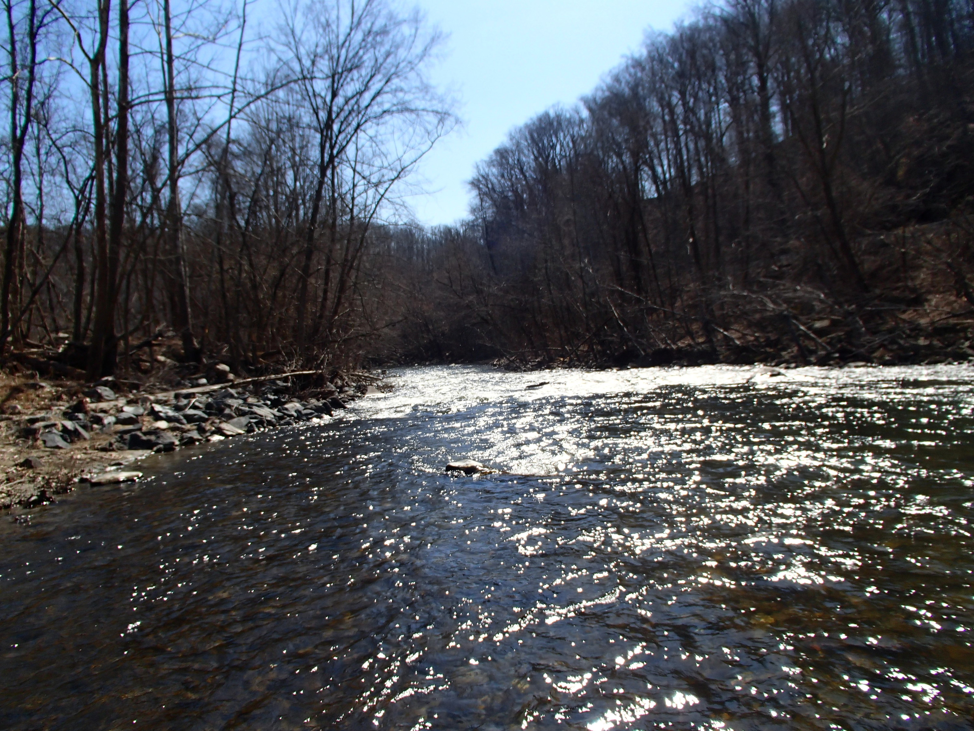 Field photo showing stream conditions at site PATL-B07-X-2014-2