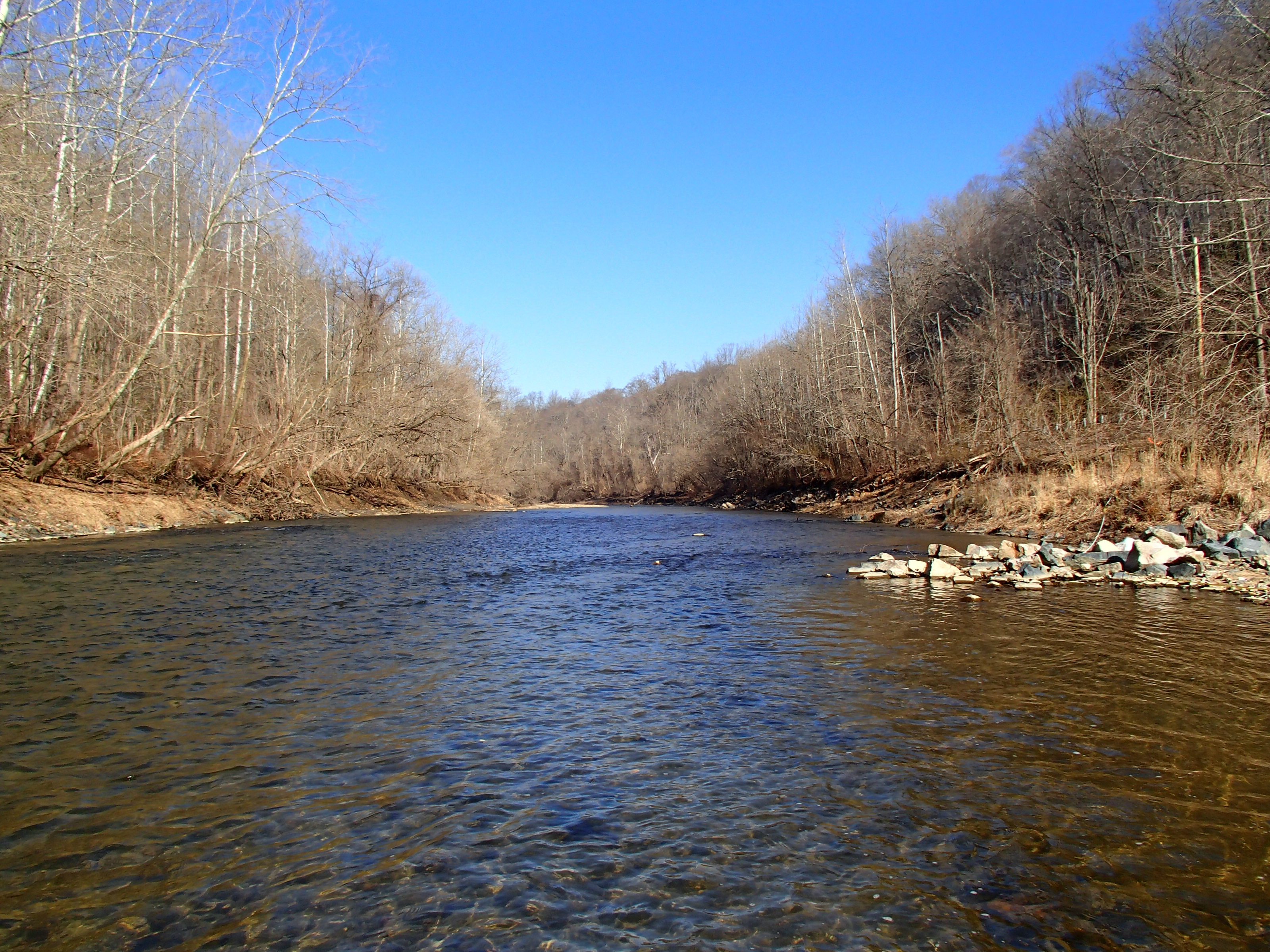 Field photo showing stream conditions at site PATL-B08-X-2014-1