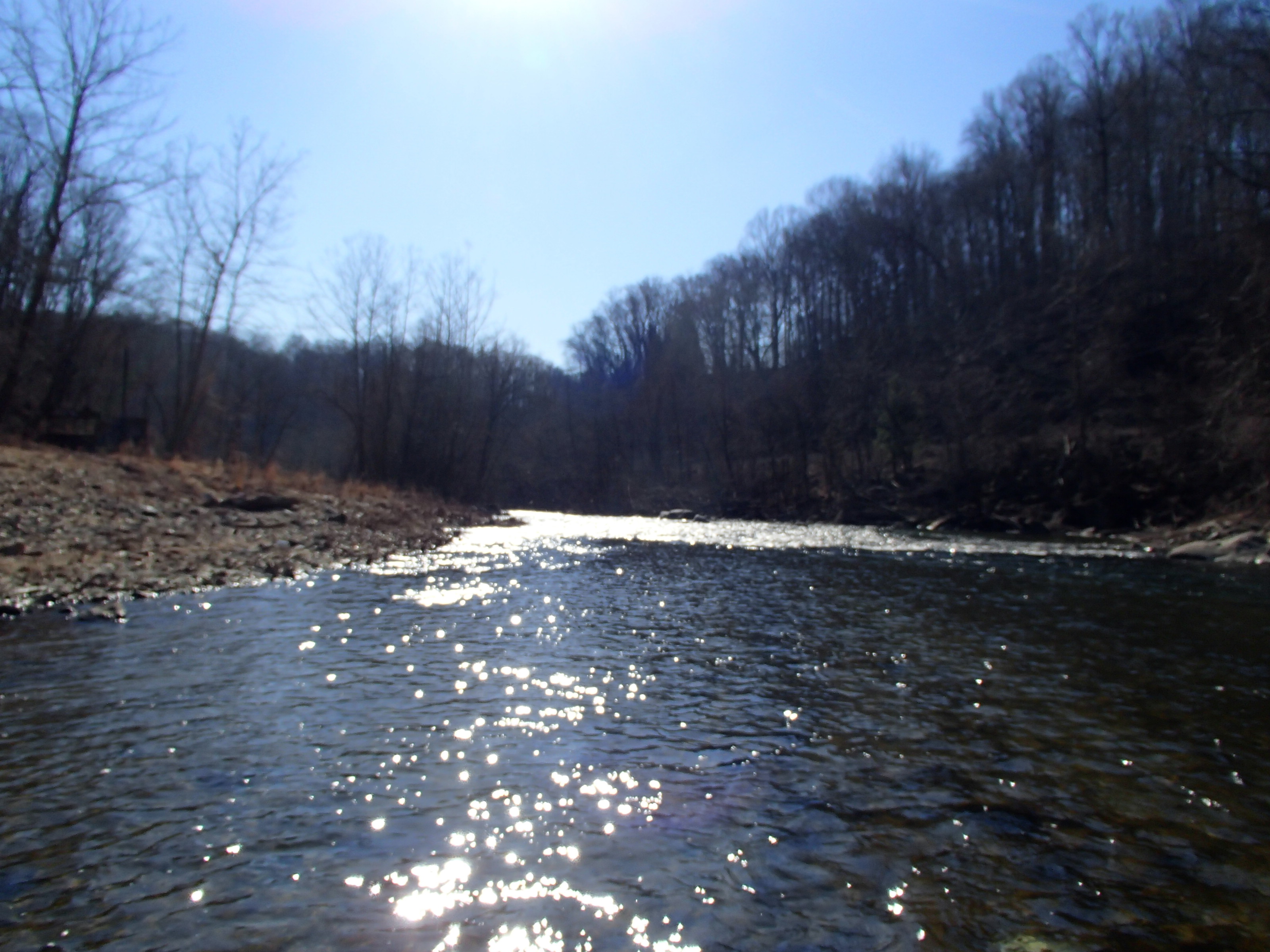Field photo showing stream conditions at site PATL-B08-X-2014-2
