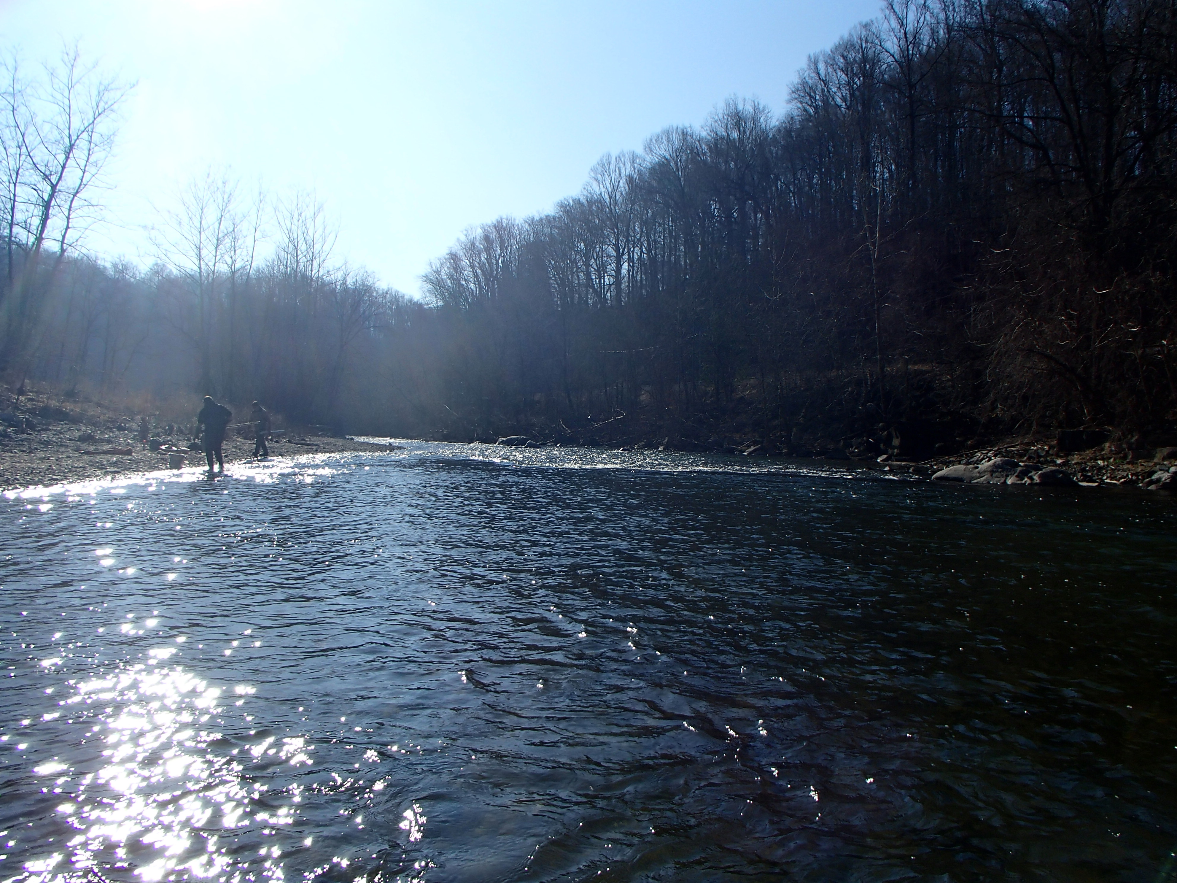Field photo showing stream conditions at site PATL-B08-X-2015_at-P-looking-downstream