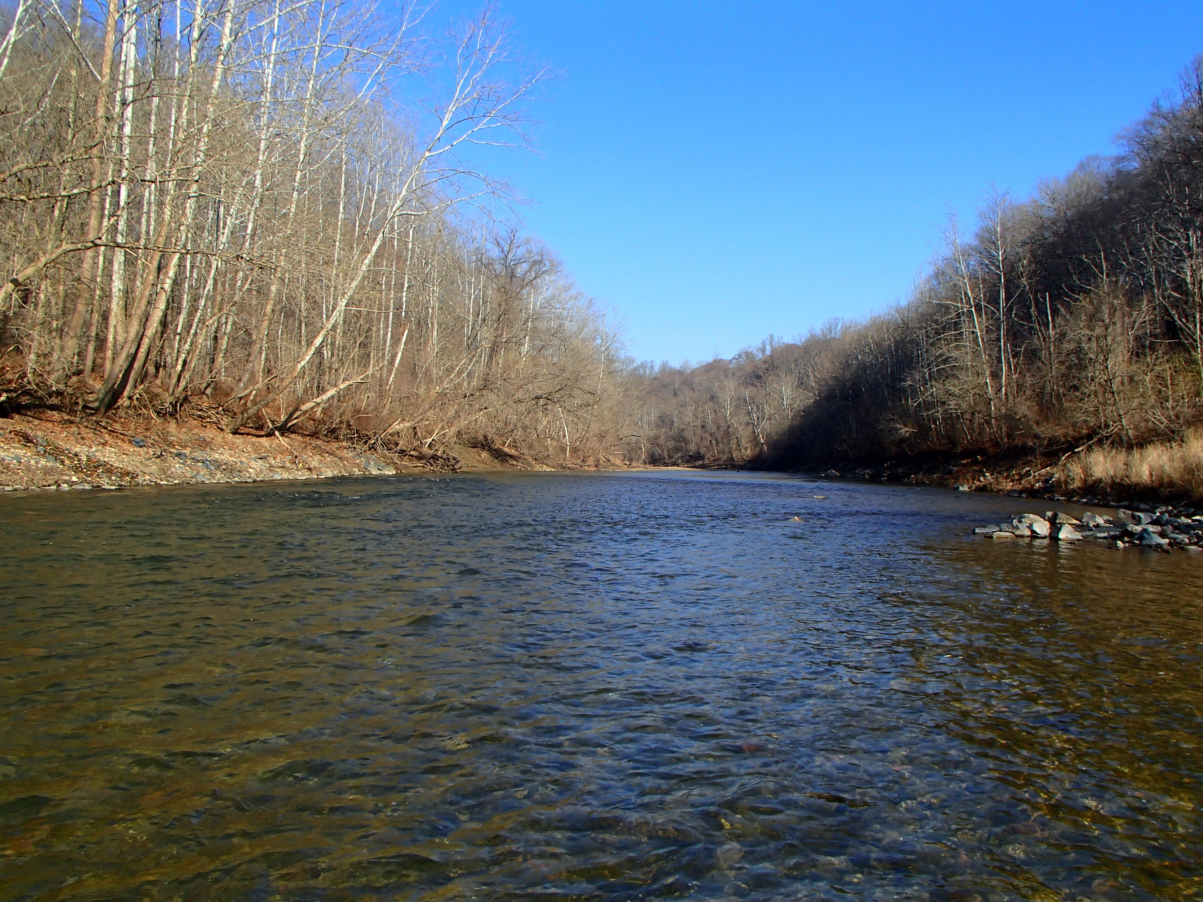 Field photo showing stream conditions at site PATL-B08-X-2015_at-P-looking-upstream