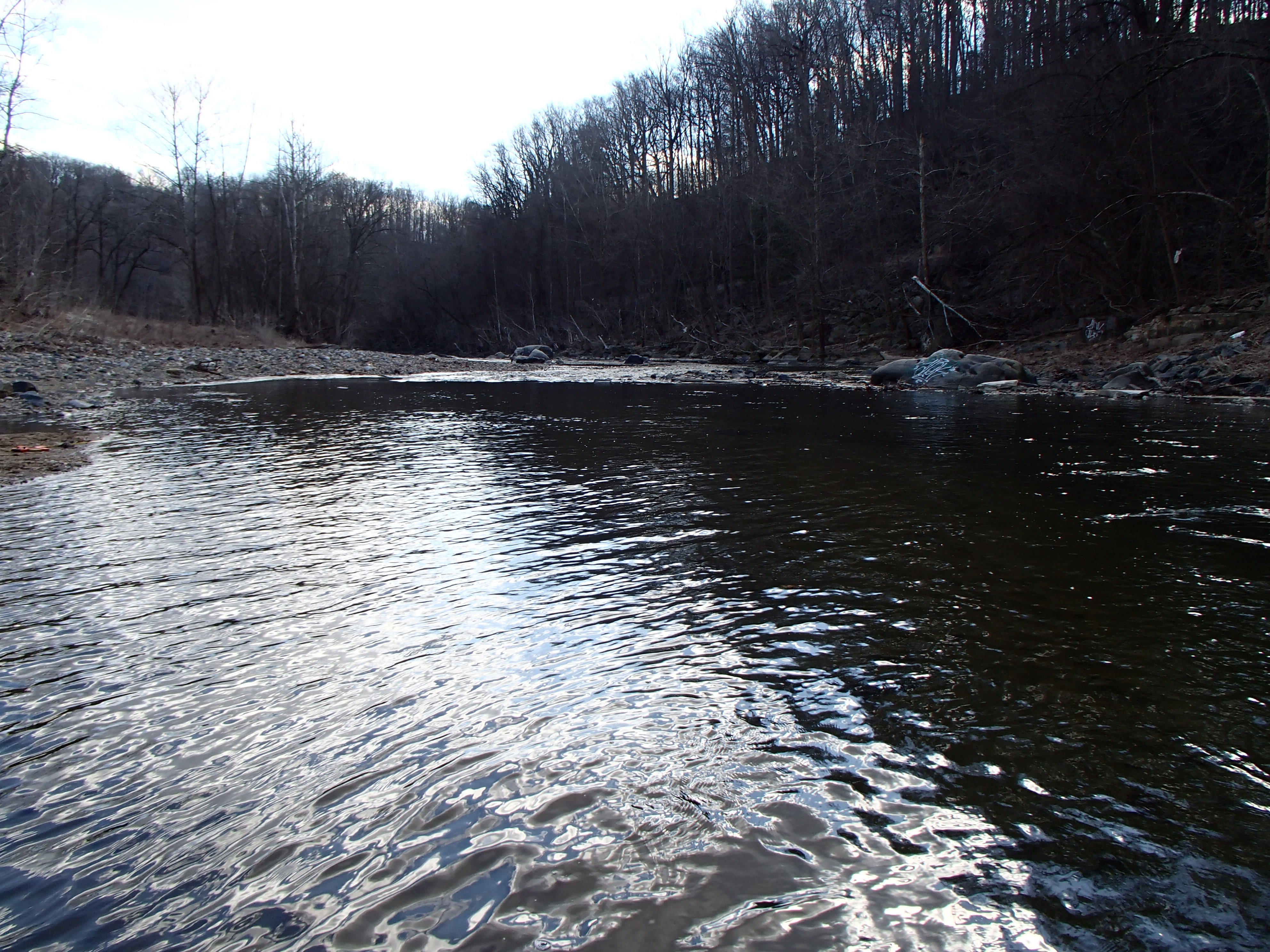 Field photo showing stream conditions at site PATL-B08-X-2017-MidpointLookingDownstream