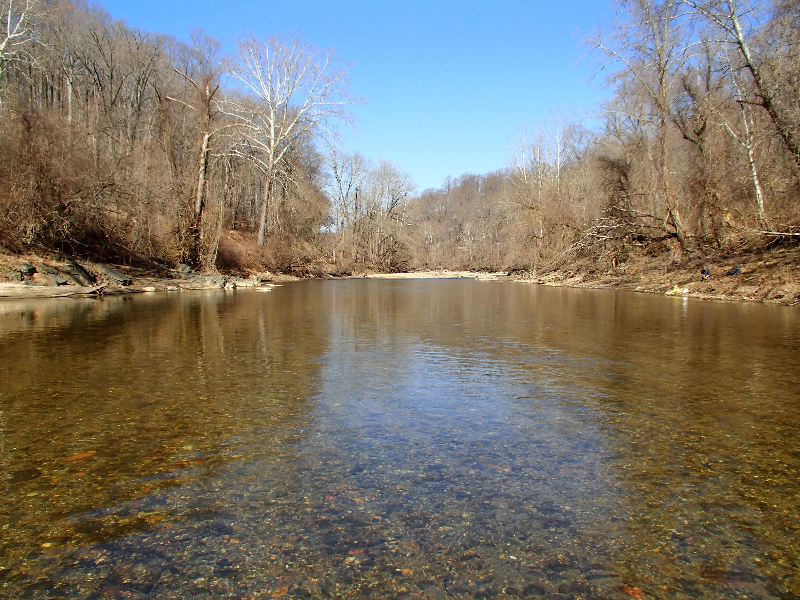 Field photo showing stream conditions at site PATL-B09-X-2015_Midpoint-looking-upstream