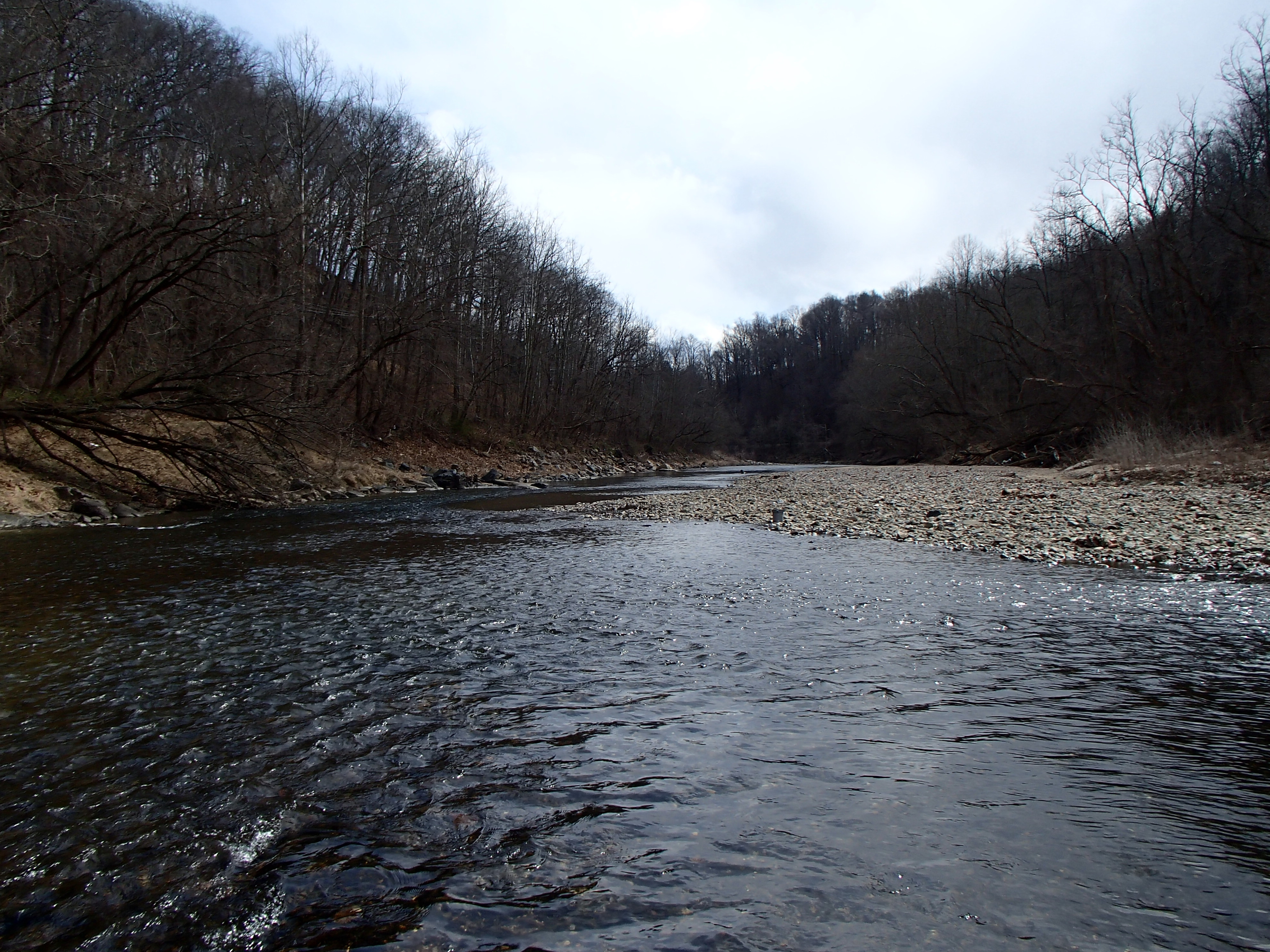 Field photo showing stream conditions at site PATL-B09-X-2017-MidpointFacingDownstream