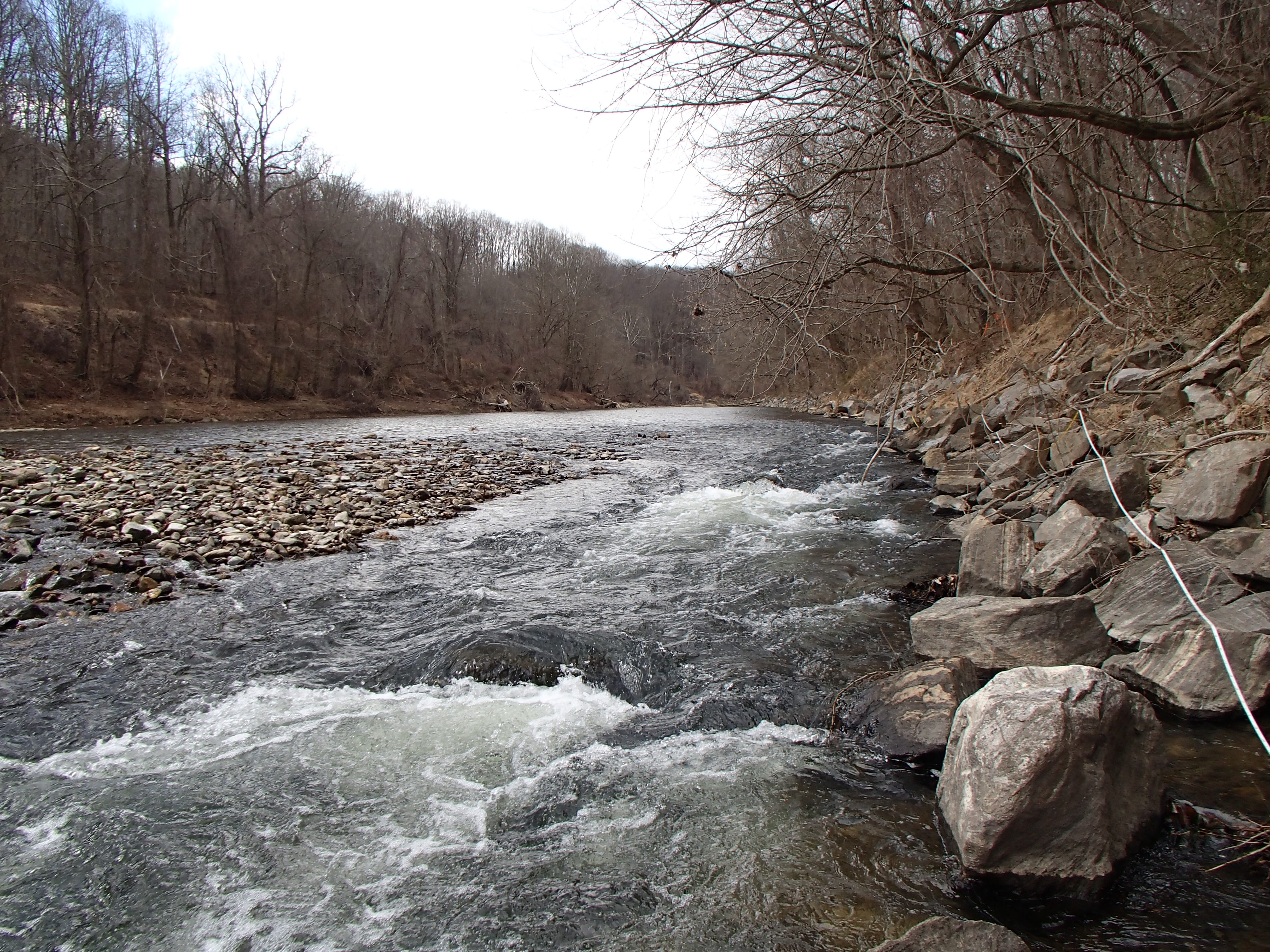 Field photo showing stream conditions at site PATL-B10-X-2017-MidpointLookingUpstream