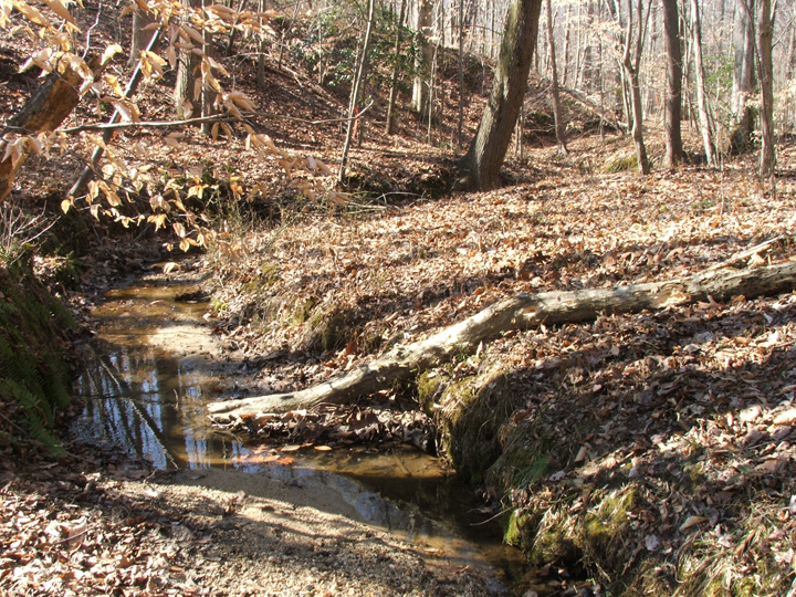 Field photo showing stream conditions at site PAXL-102-R-2008-1