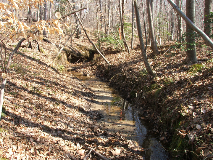 Field photo showing stream conditions at site PAXL-102-R-2008-2