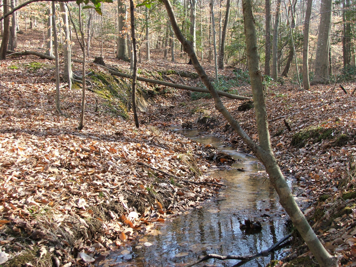 Field photo showing stream conditions at site PAXL-104-R-2008-1