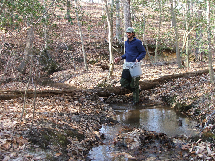 Field photo showing stream conditions at site PAXL-104-R-2008-2