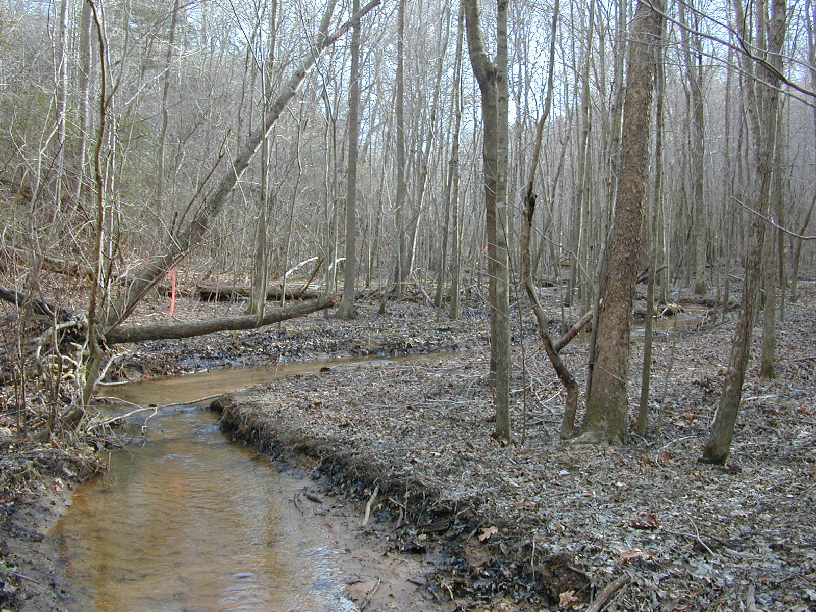 Field photo showing stream conditions at site PAXL-107-R-2004-1