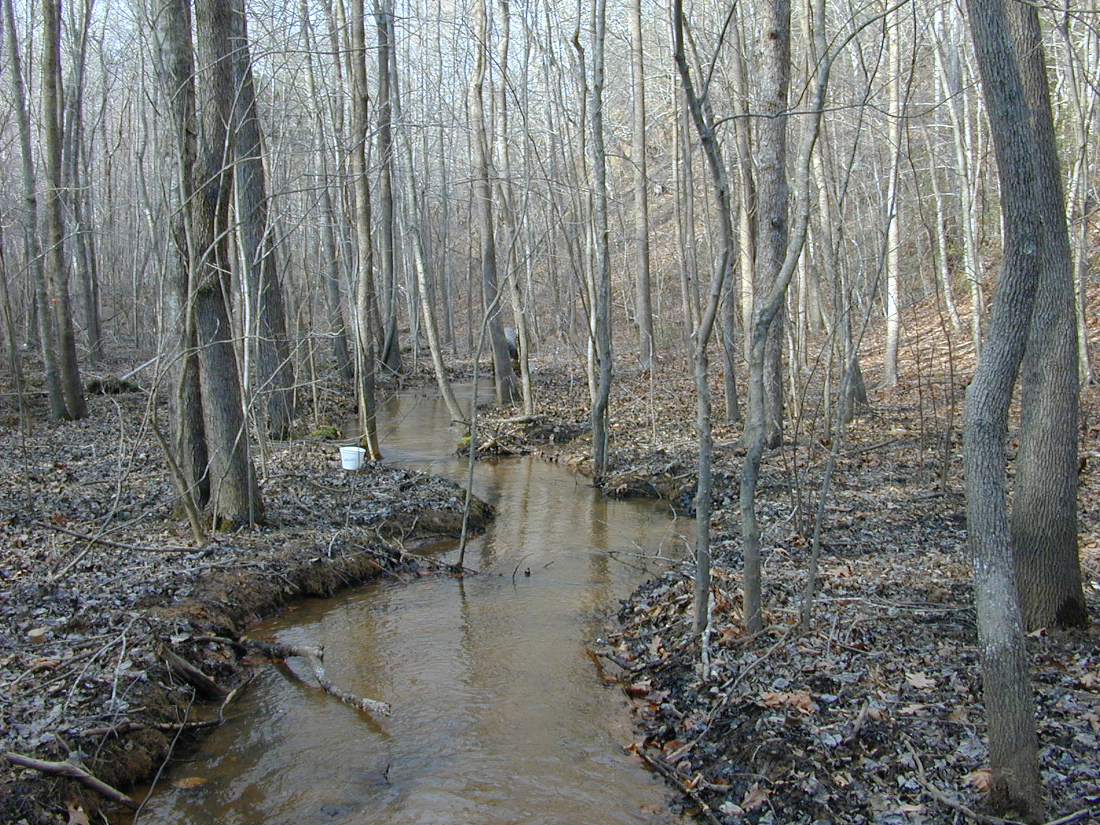 Field photo showing stream conditions at site PAXL-107-R-2004-2