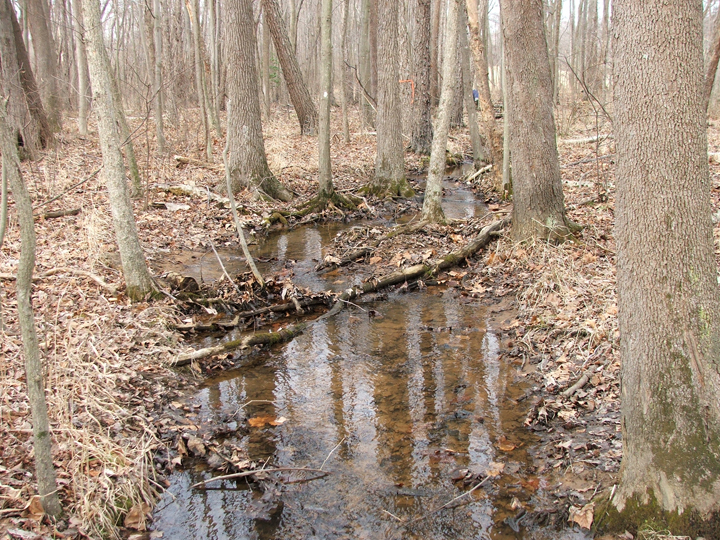 Field photo showing stream conditions at site PAXL-107-R-2008-1