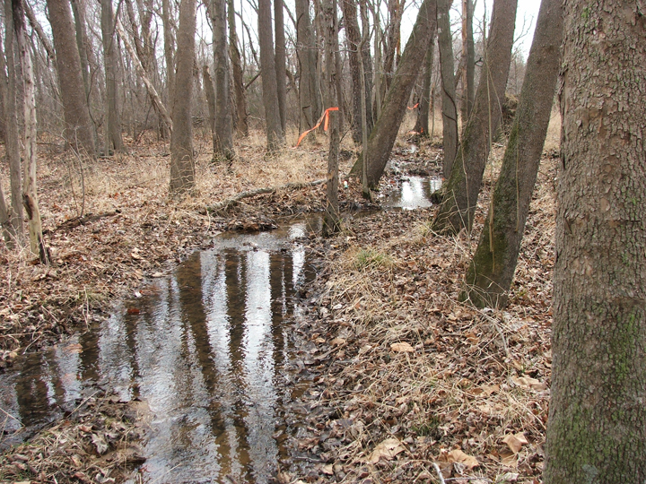 Field photo showing stream conditions at site PAXL-107-R-2008-2