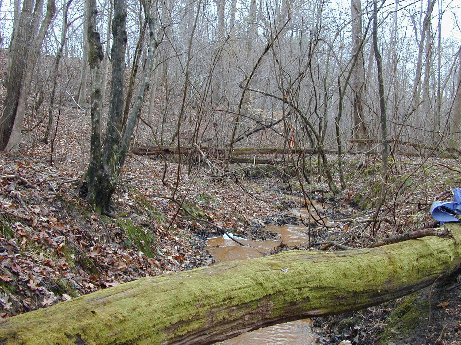 Field photo showing stream conditions at site PAXL-108-R-2004-1