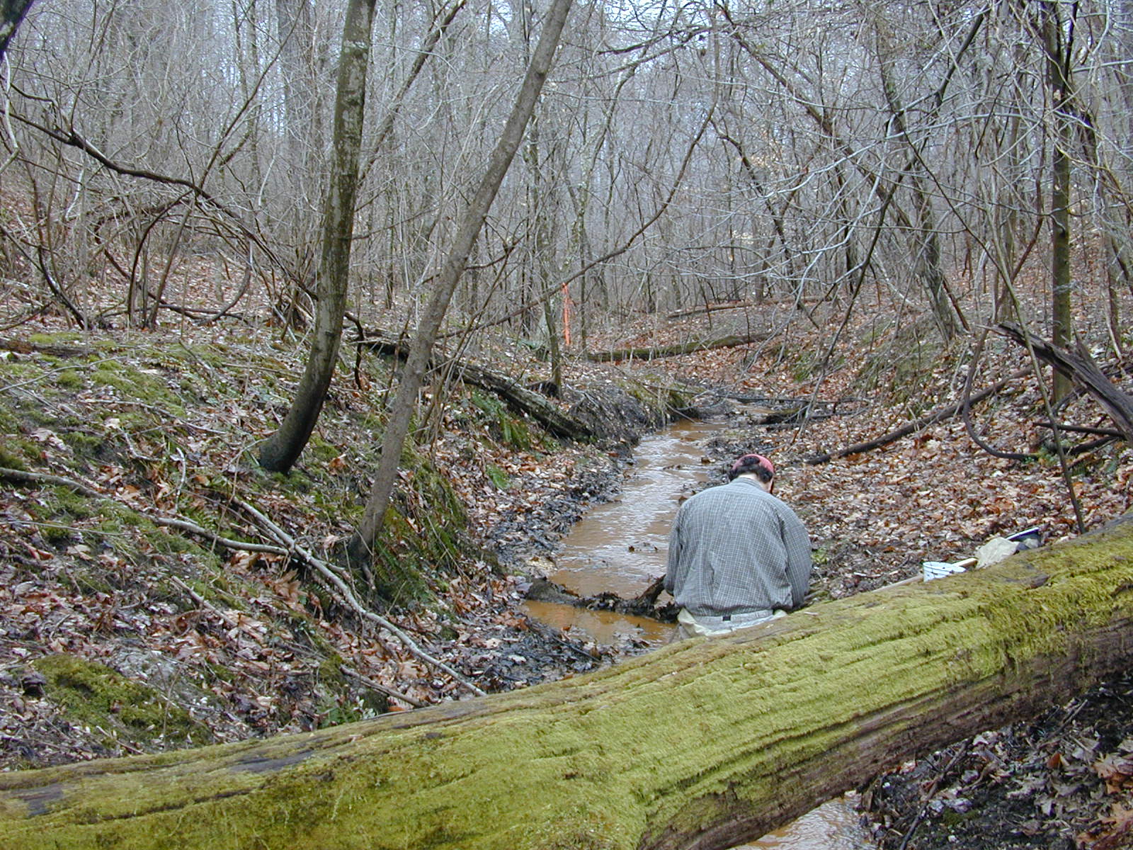 Field photo showing stream conditions at site PAXL-108-R-2004-2
