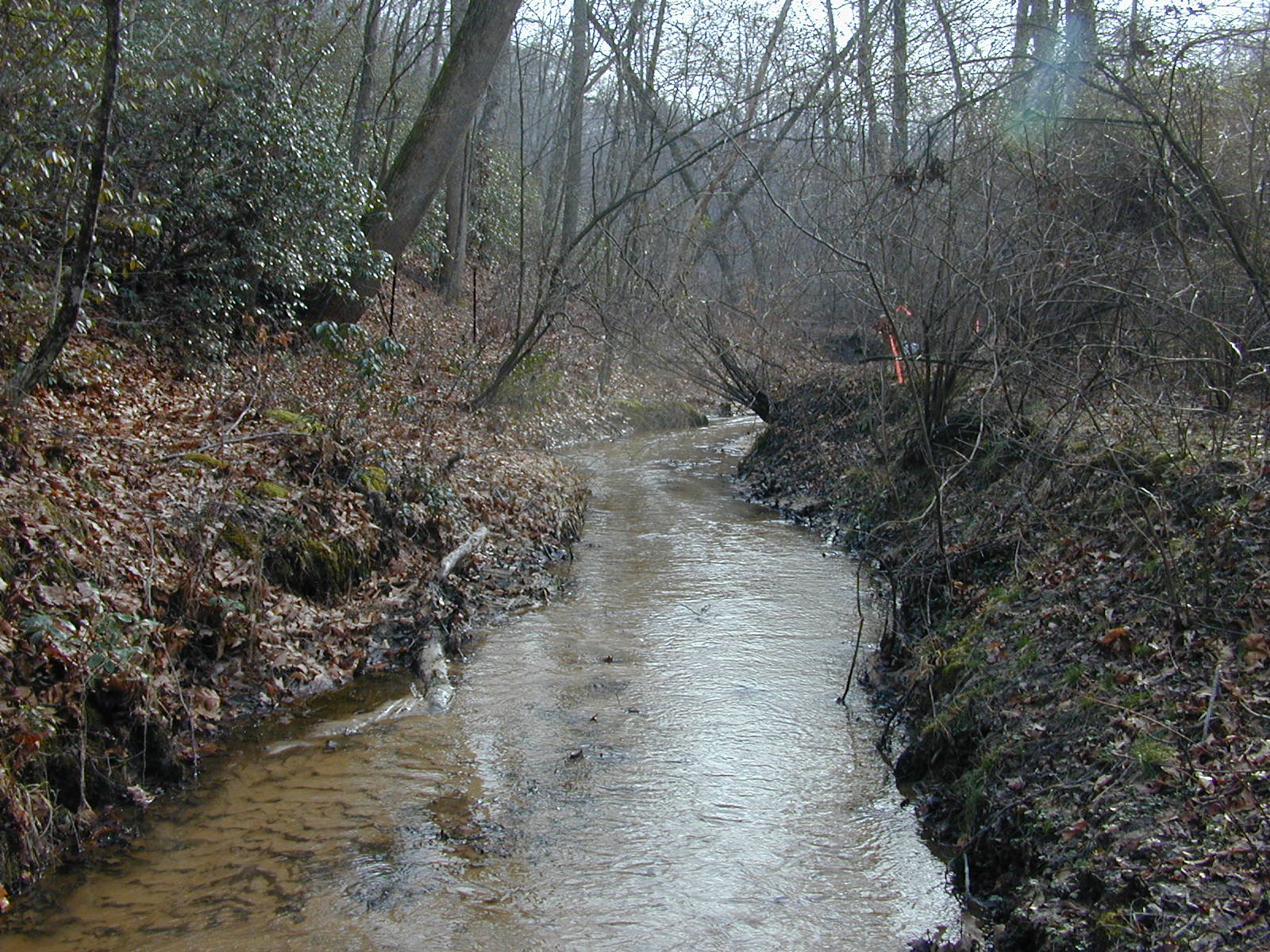 Field photo showing stream conditions at site PAXL-109-R-2004-1