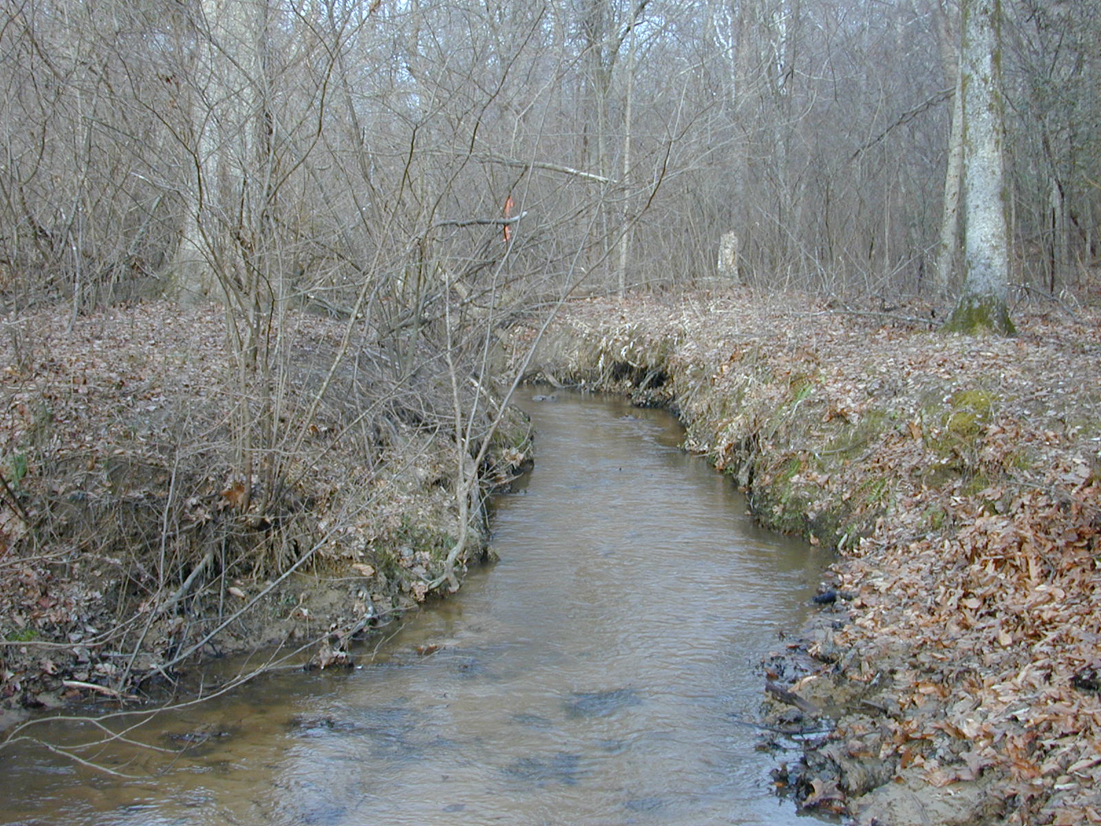 Field photo showing stream conditions at site PAXL-109-R-2004-2