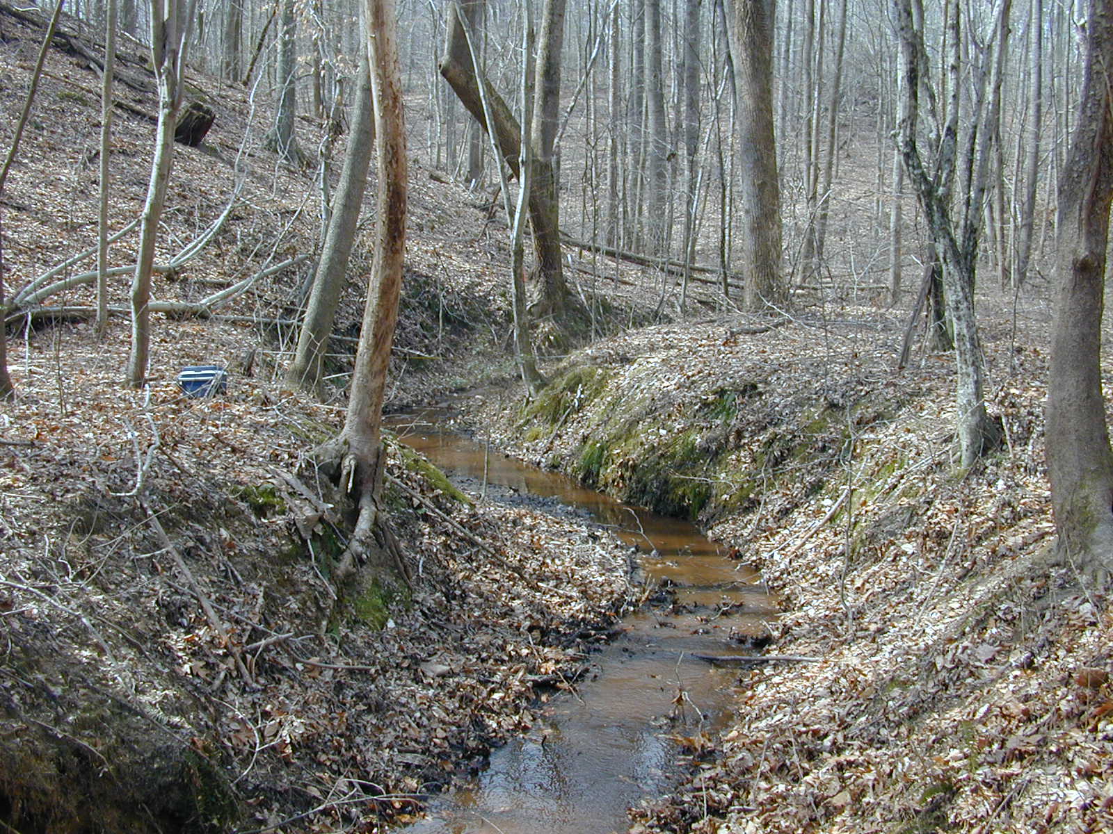 Field photo showing stream conditions at site PAXL-110-R-2004-1