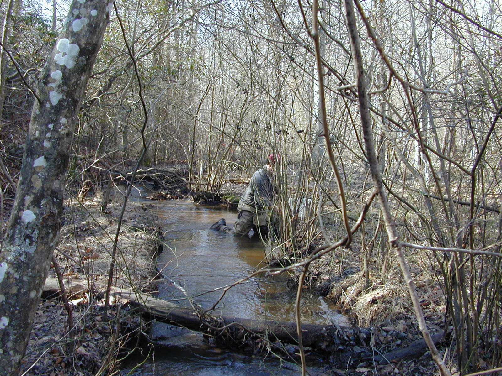 Field photo showing stream conditions at site PAXL-111-R-2004-1