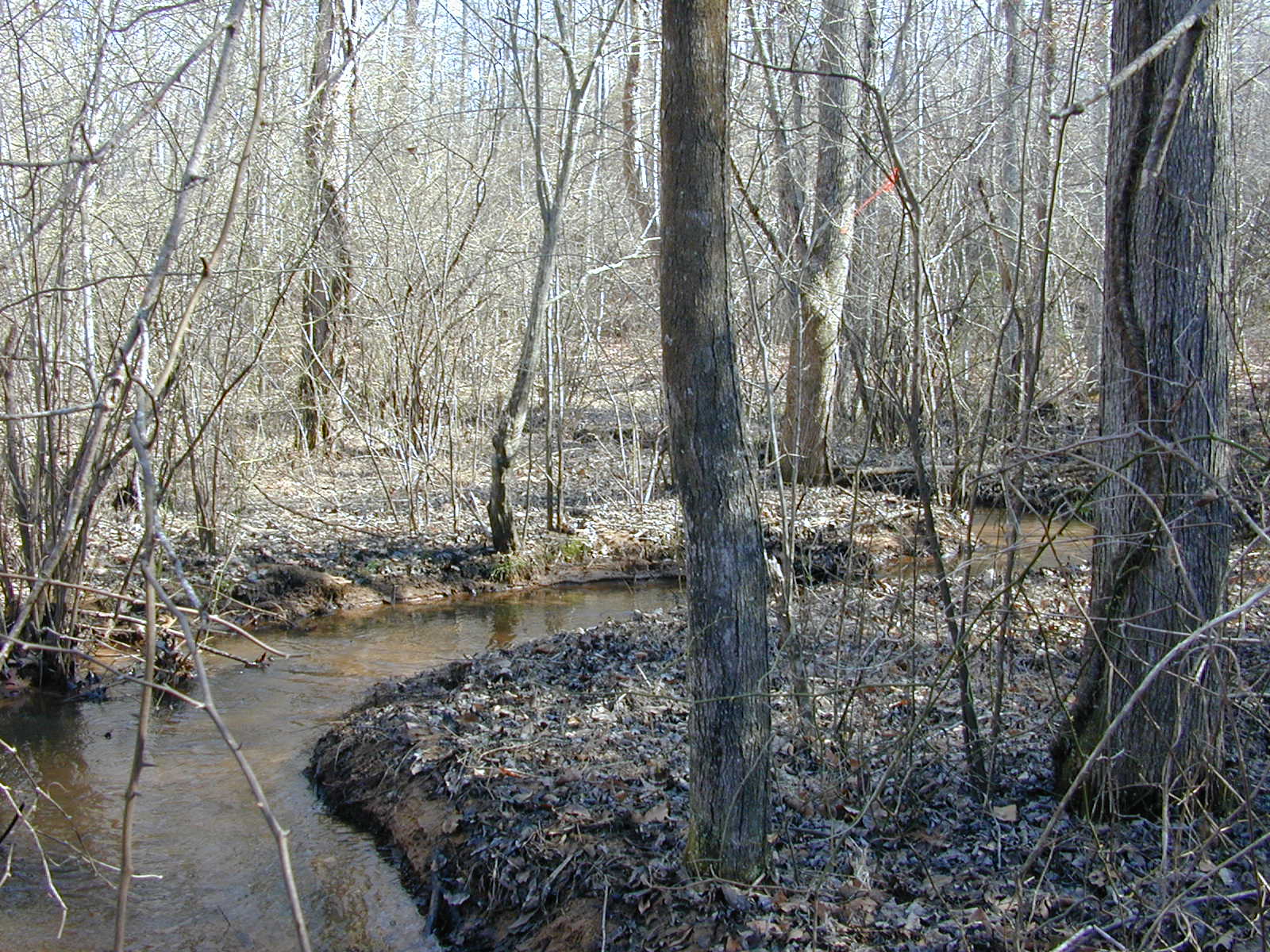 Field photo showing stream conditions at site PAXL-111-R-2004-2