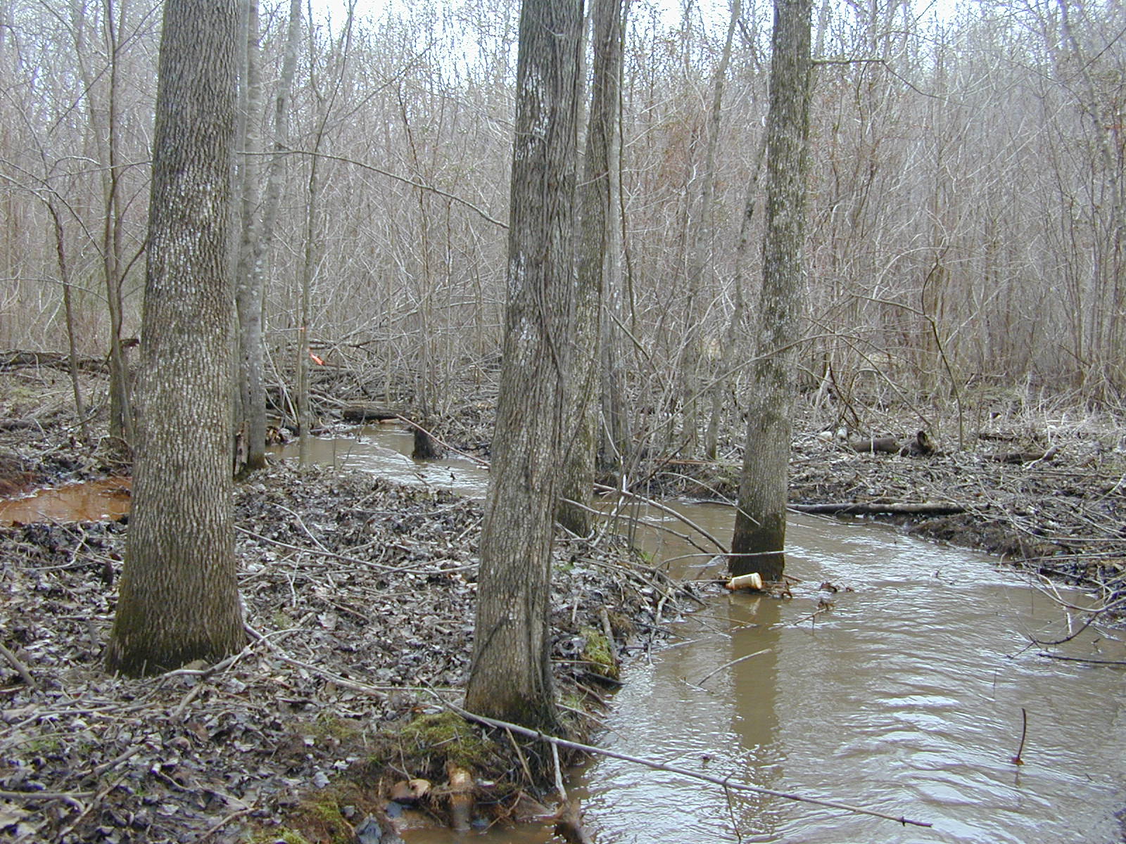 Field photo showing stream conditions at site PAXL-112-R-2004-1