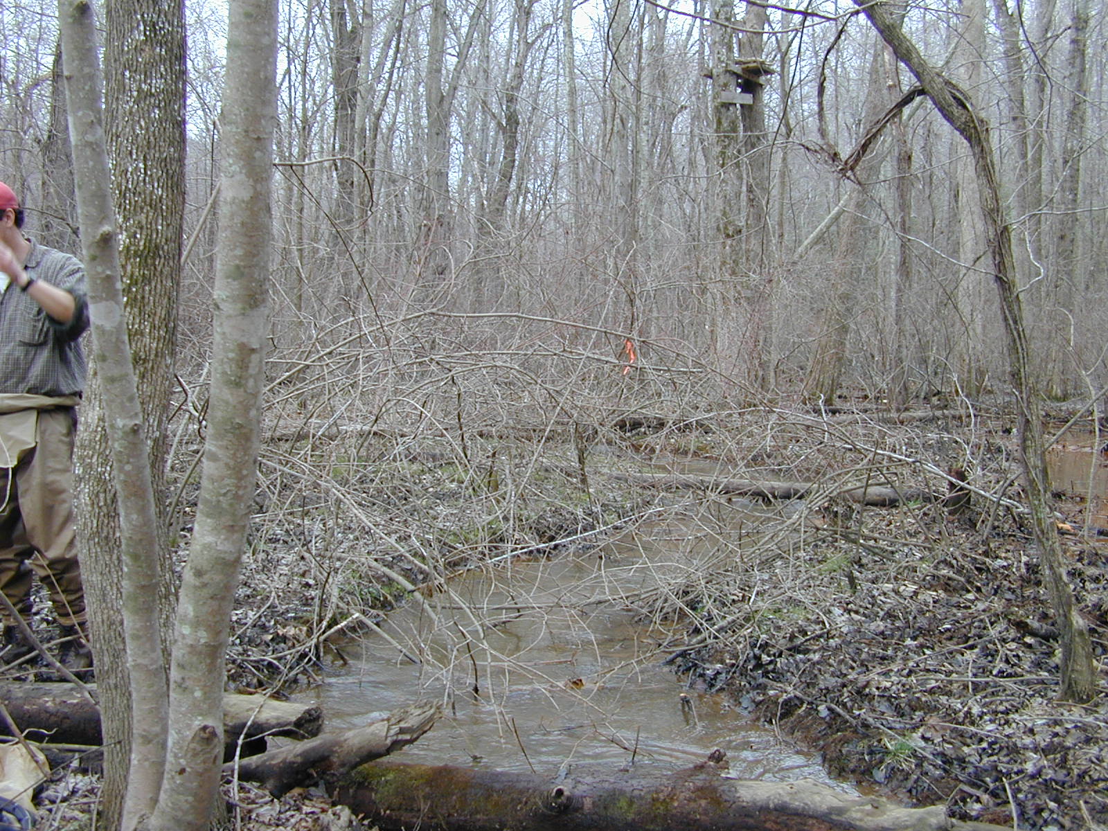 Field photo showing stream conditions at site PAXL-112-R-2004-2