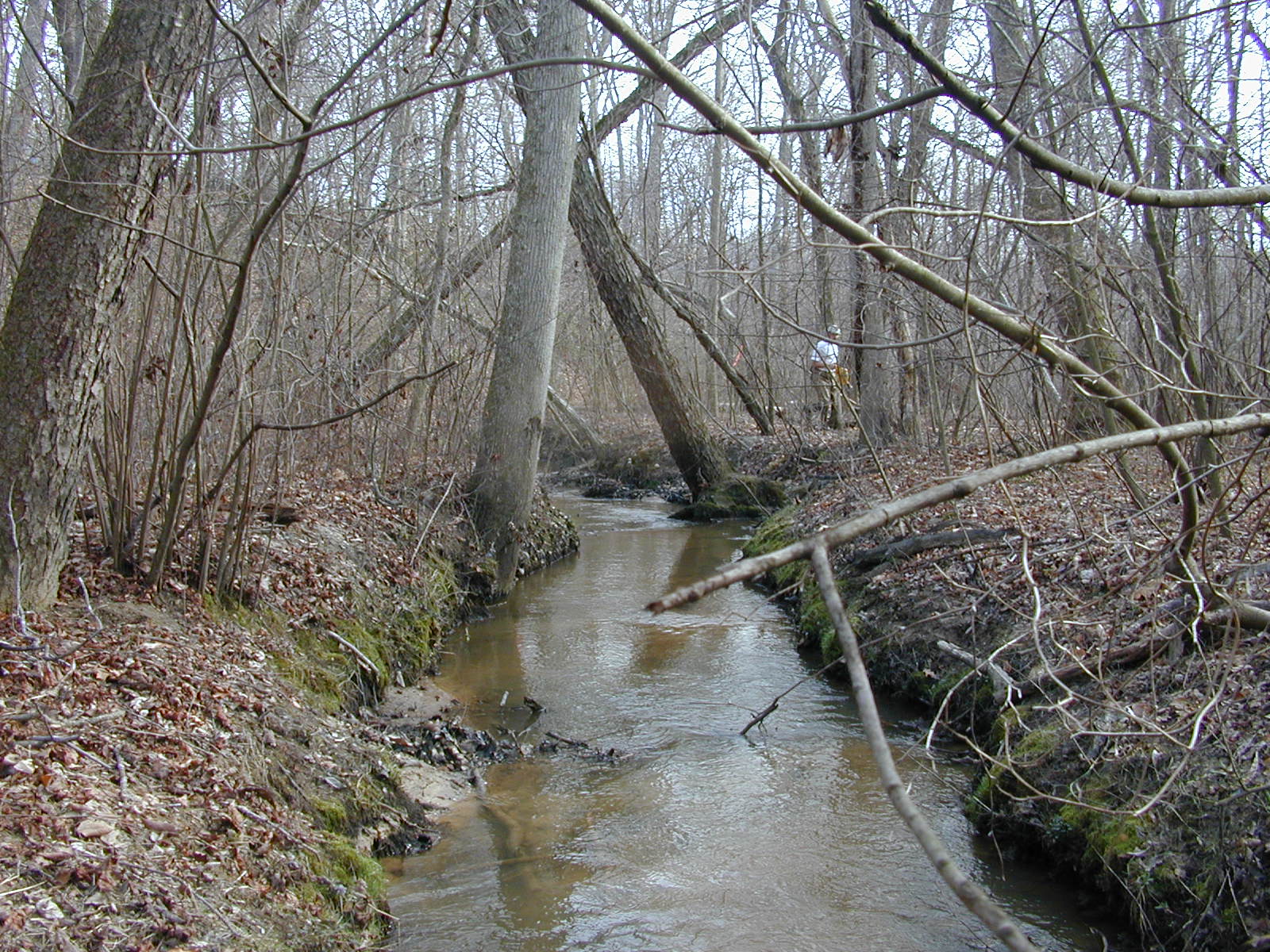 Field photo showing stream conditions at site PAXL-114-R-2004-1