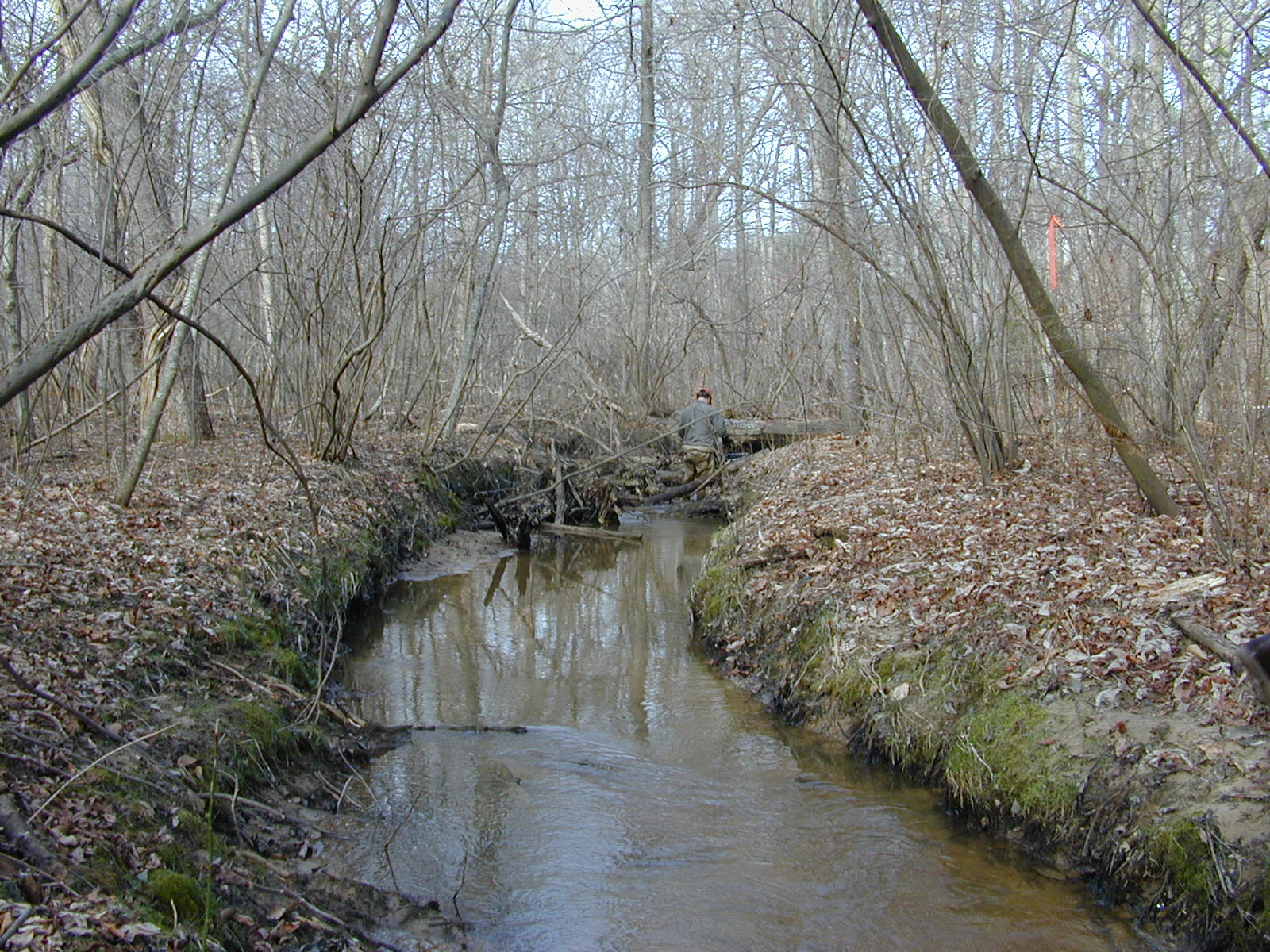 Field photo showing stream conditions at site PAXL-114-R-2004-2