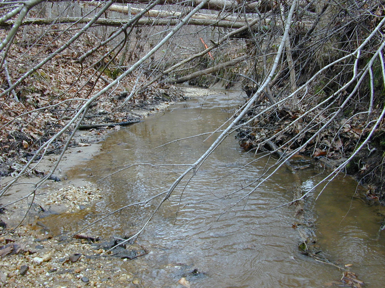 Field photo showing stream conditions at site PAXL-115-R-2004-1