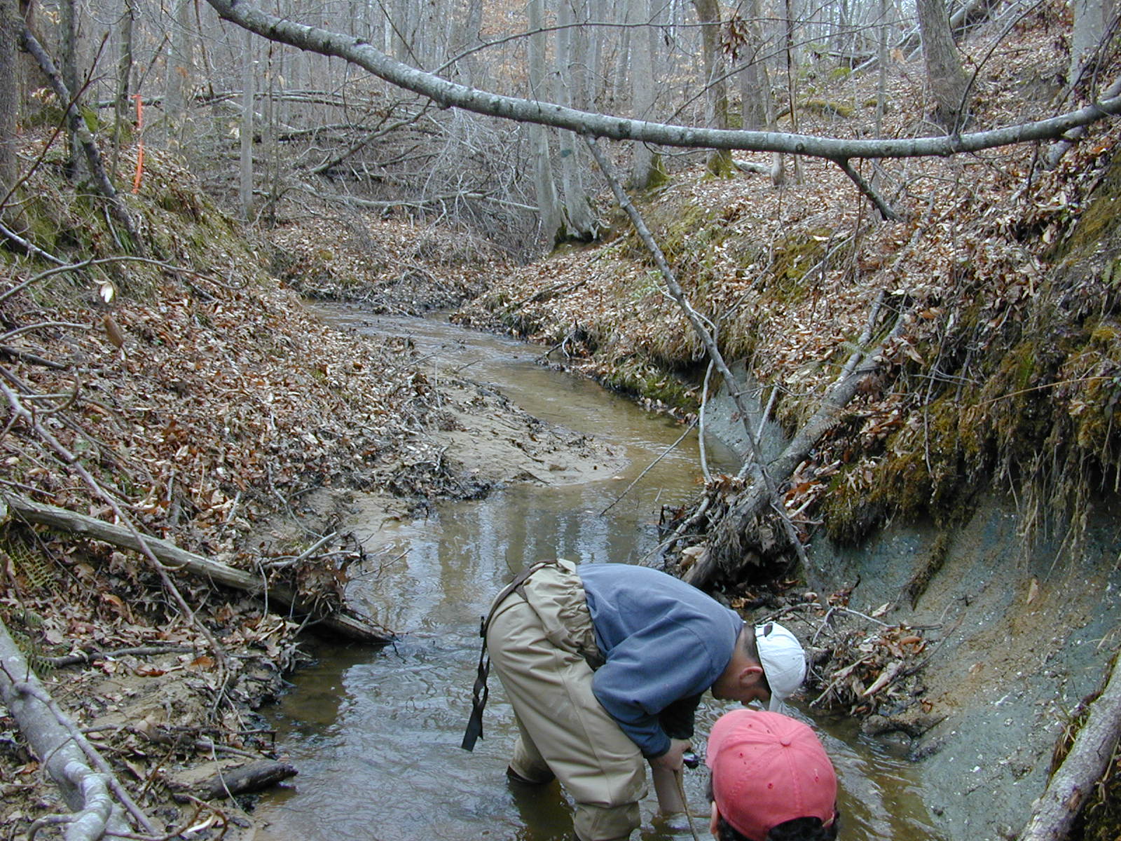 Field photo showing stream conditions at site PAXL-115-R-2004-2