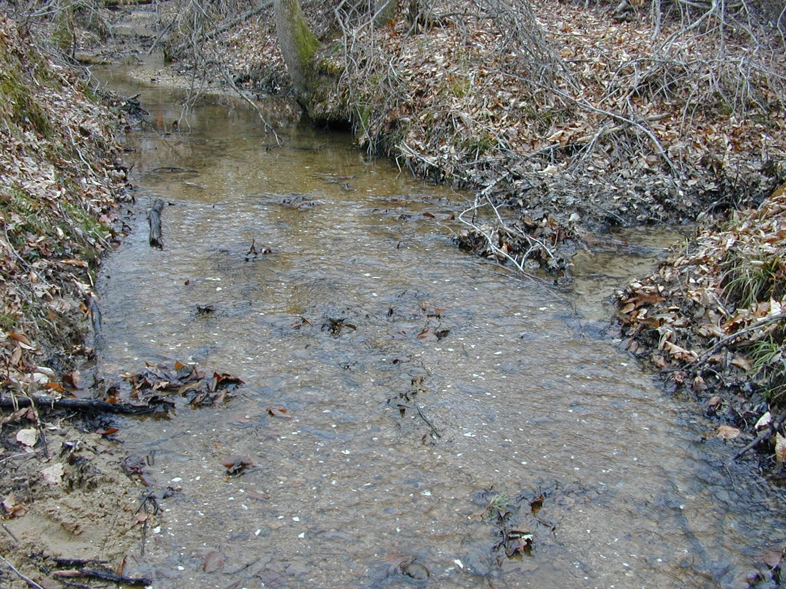 Field photo showing stream conditions at site PAXL-115-R-2004-3
