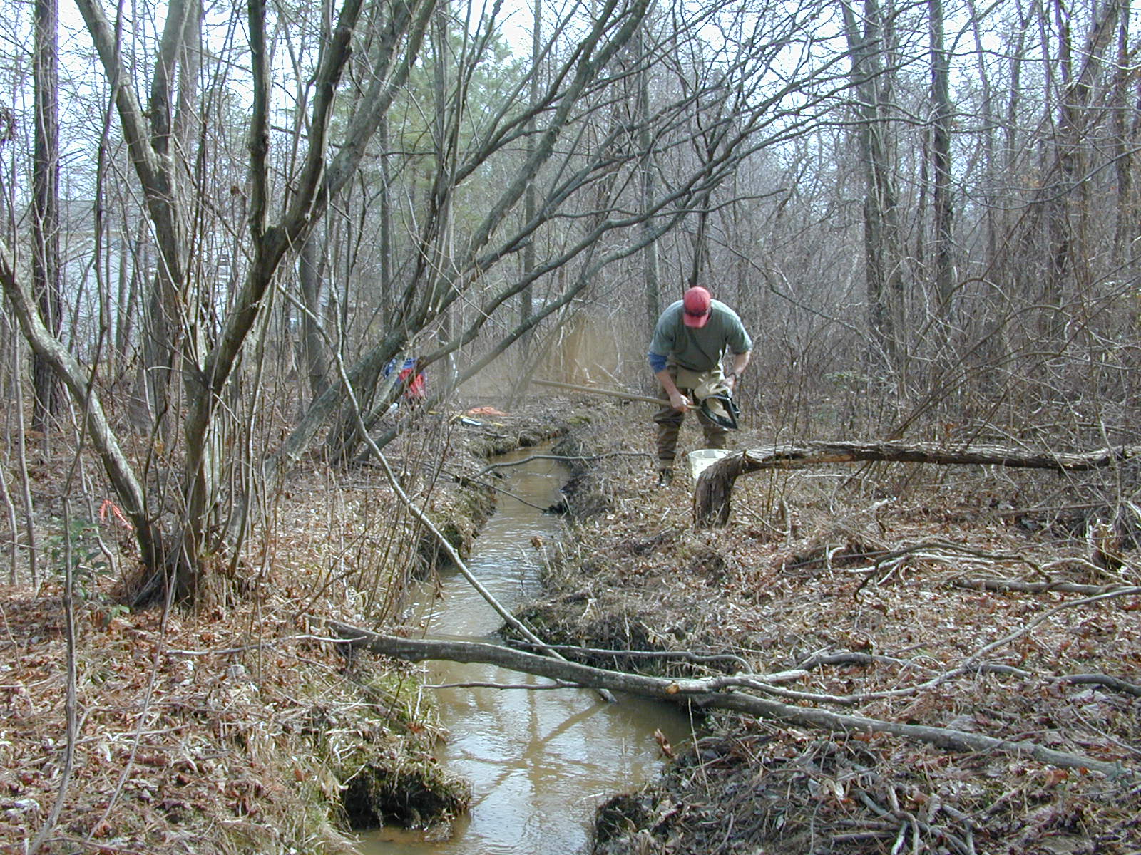 Field photo showing stream conditions at site PAXL-116-R-2004-2