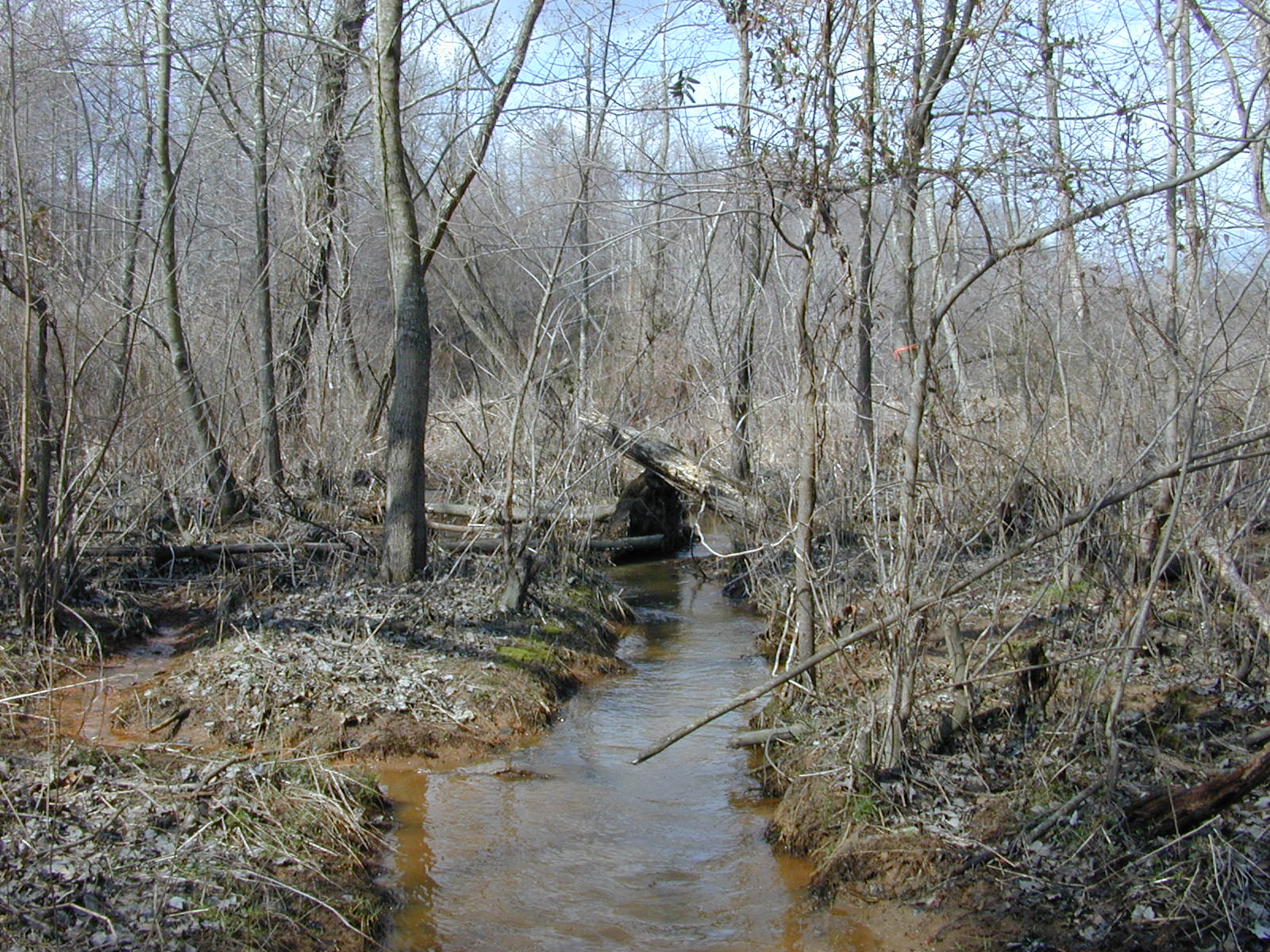 Field photo showing stream conditions at site PAXL-119-R-2004-2