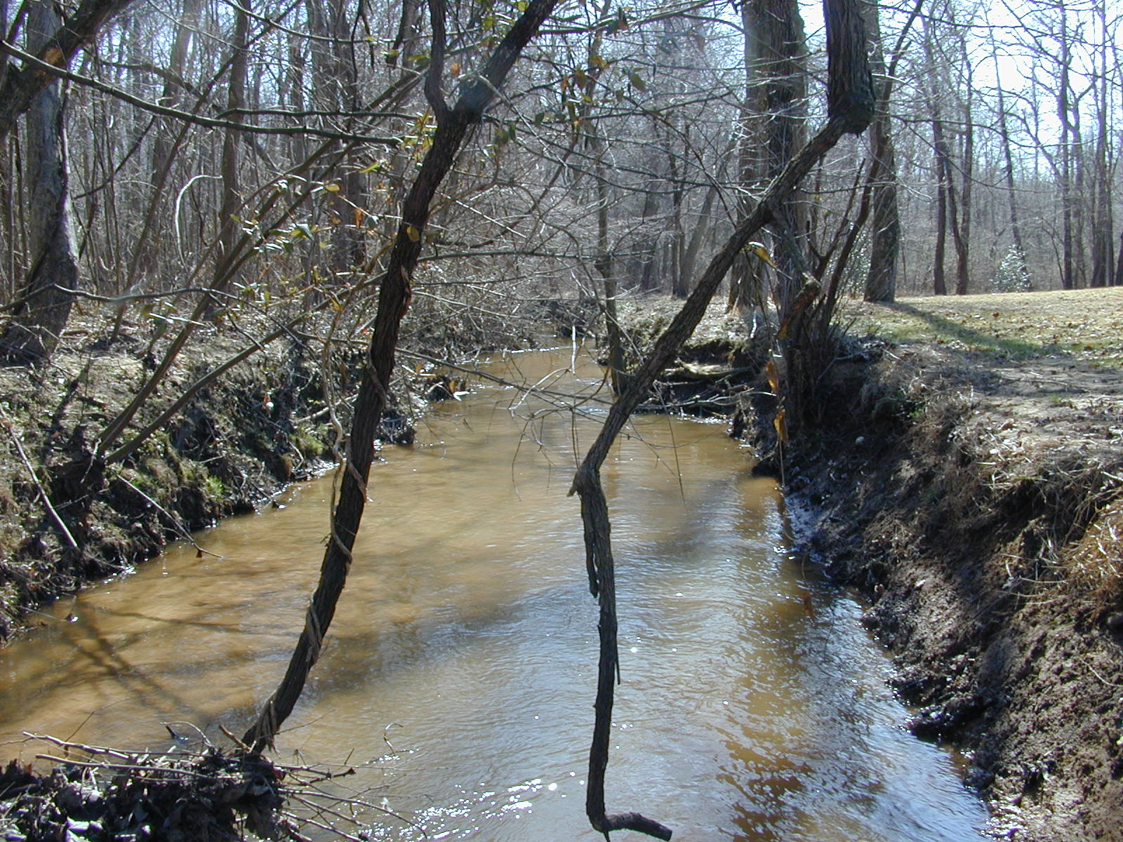 Field photo showing stream conditions at site PAXL-120-R-2004-1