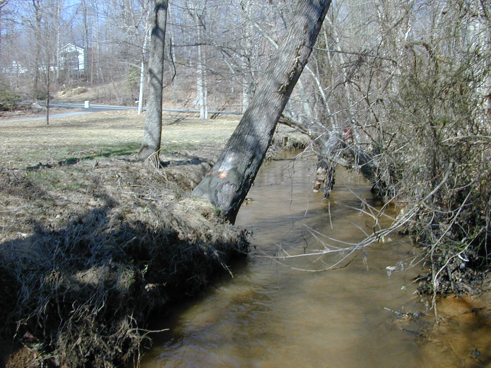 Field photo showing stream conditions at site PAXL-120-R-2004-2