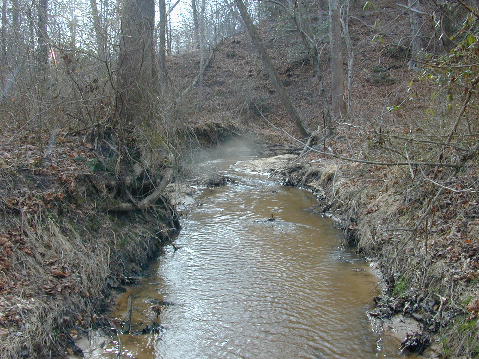 Field photo showing stream conditions at site PAXL-124-R-2004-1