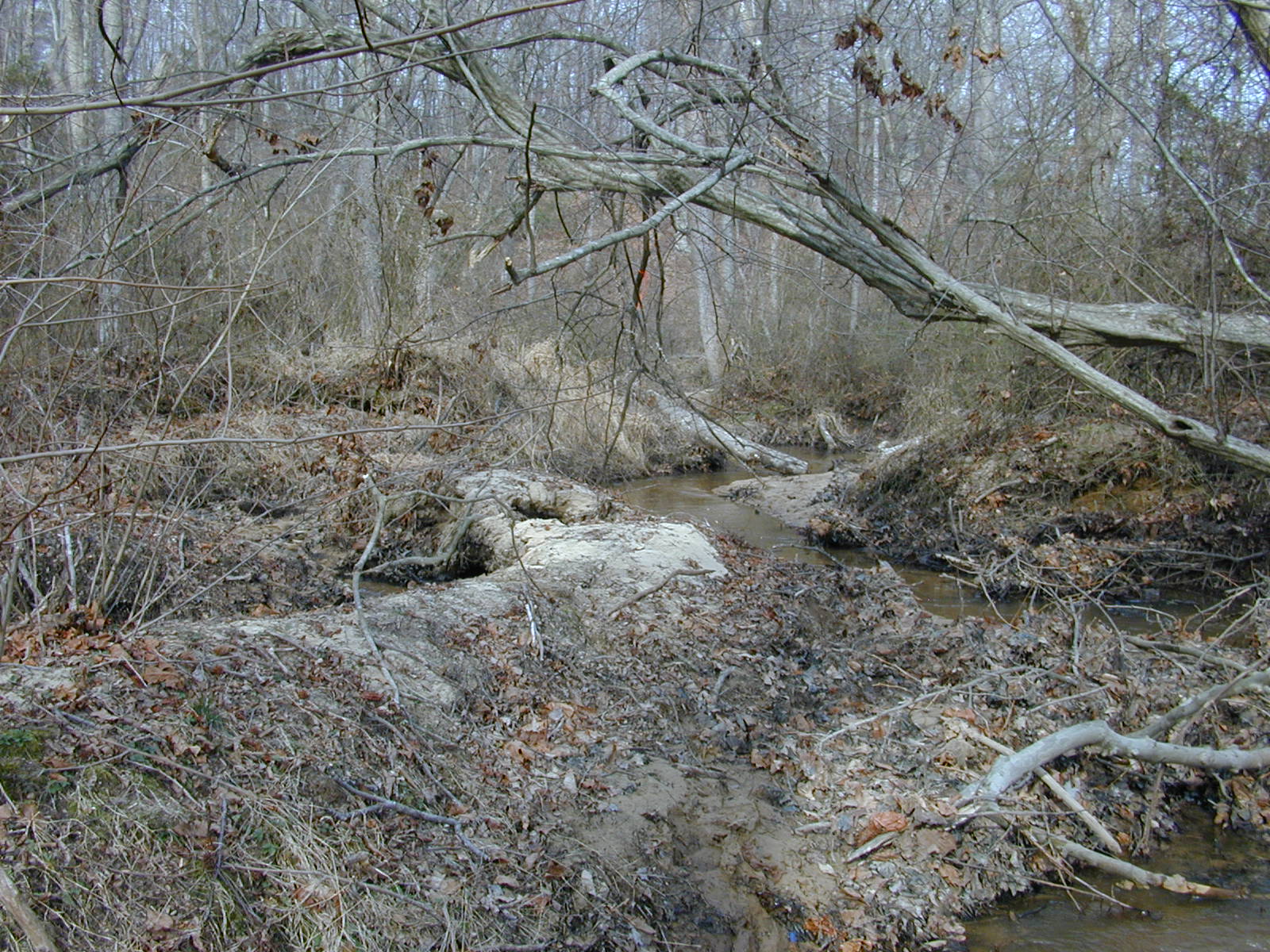 Field photo showing stream conditions at site PAXL-124-R-2004-2