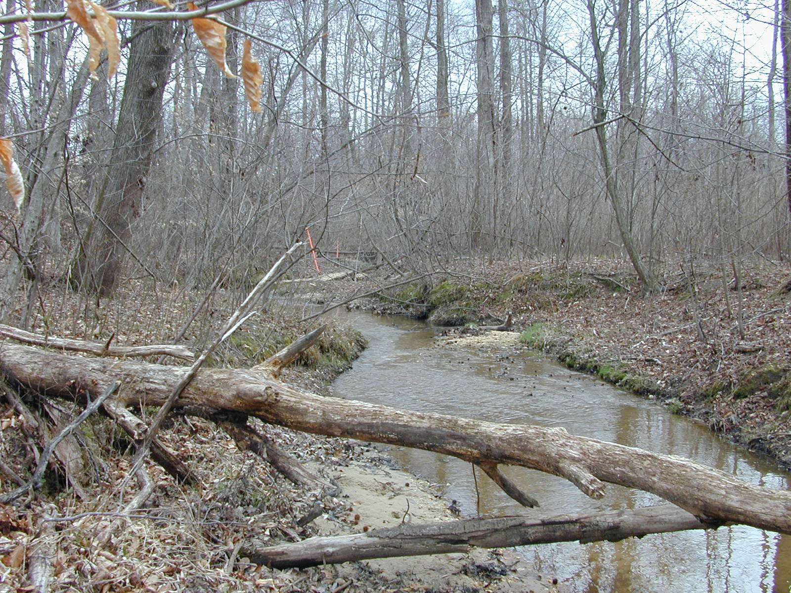 Field photo showing stream conditions at site PAXL-125-R-2004-1