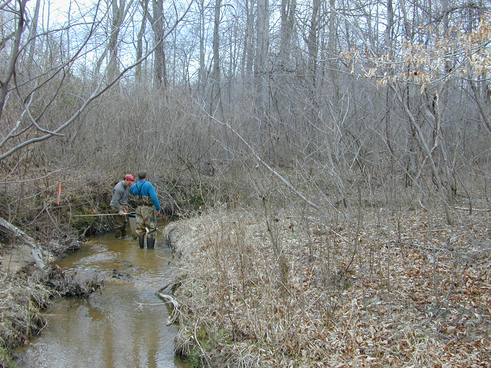 Field photo showing stream conditions at site PAXL-125-R-2004-2