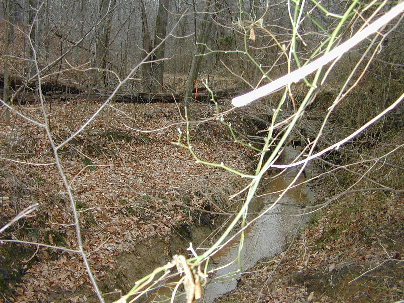 Field photo showing stream conditions at site PAXL-136-R-2004-1