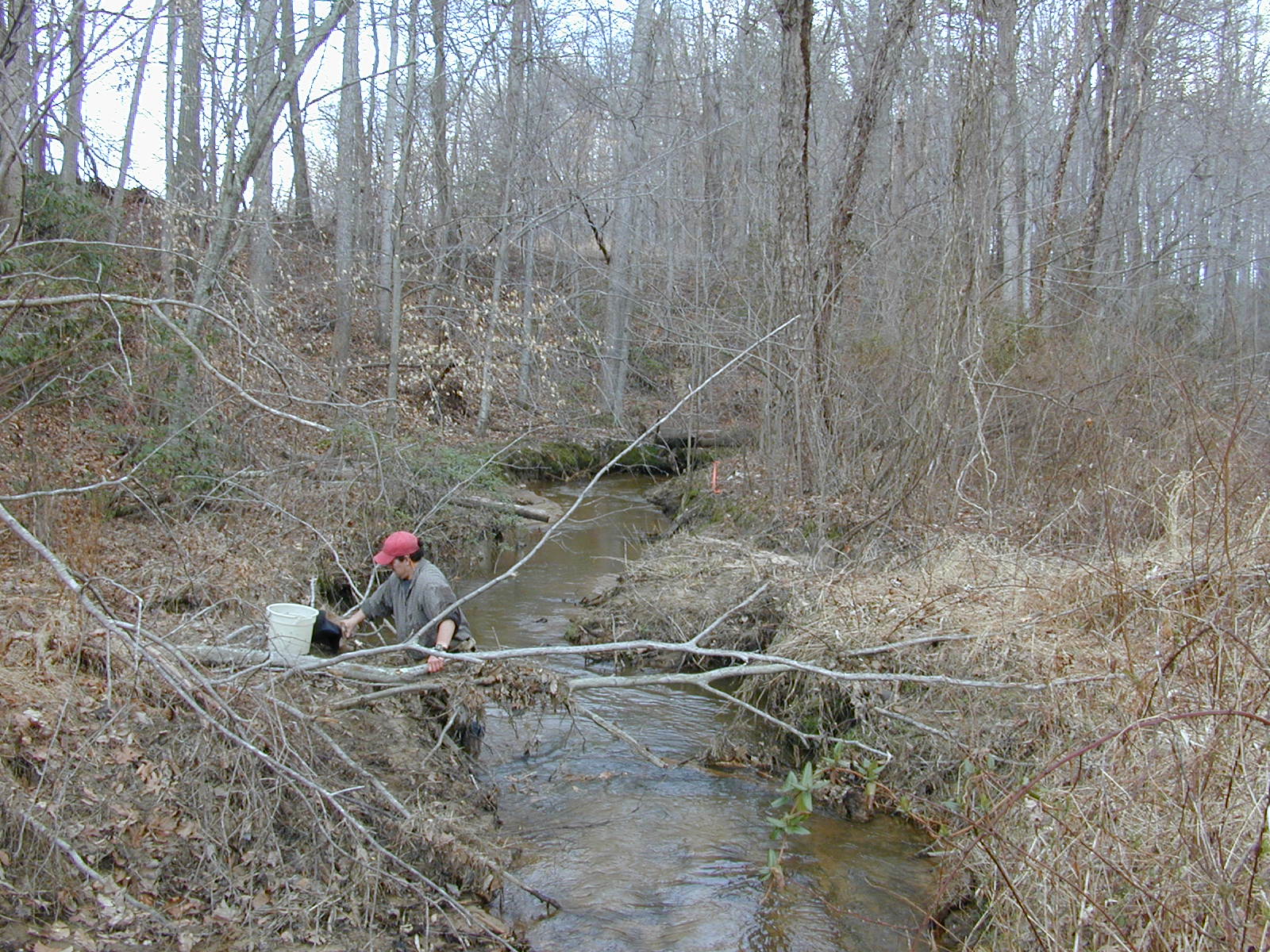 Field photo showing stream conditions at site PAXL-205-R-2004-1