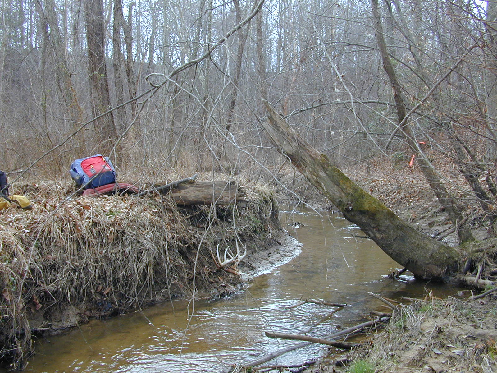 Field photo showing stream conditions at site PAXL-205-R-2004-2
